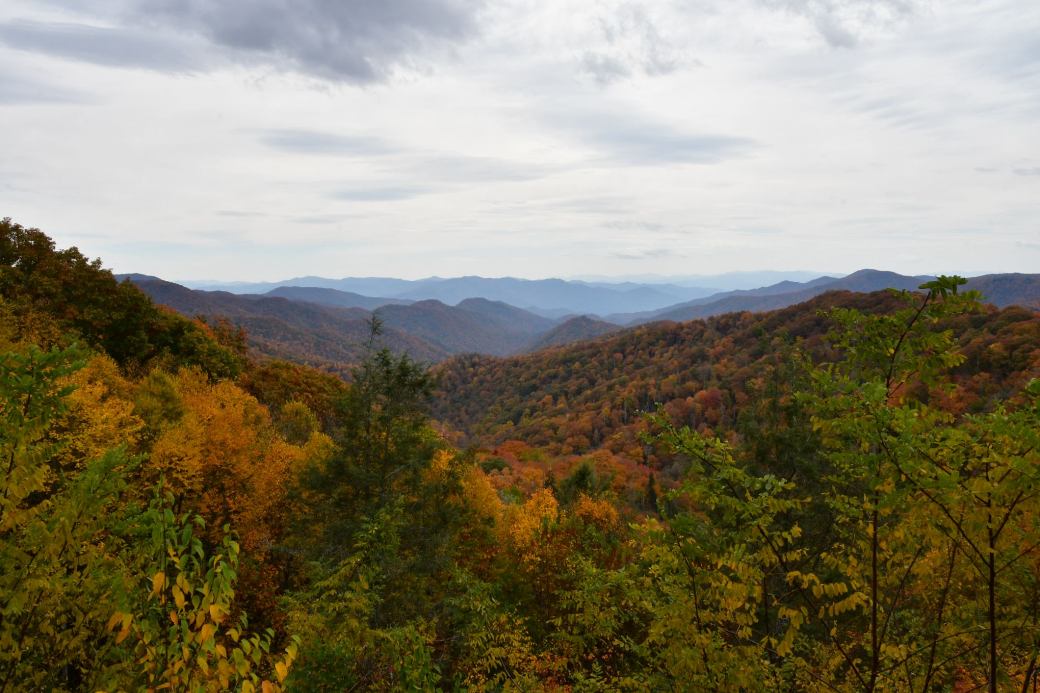 Community photo entitled  by Billy Wolf on 10/16/2022 at Smokey Mountains Tennessee
