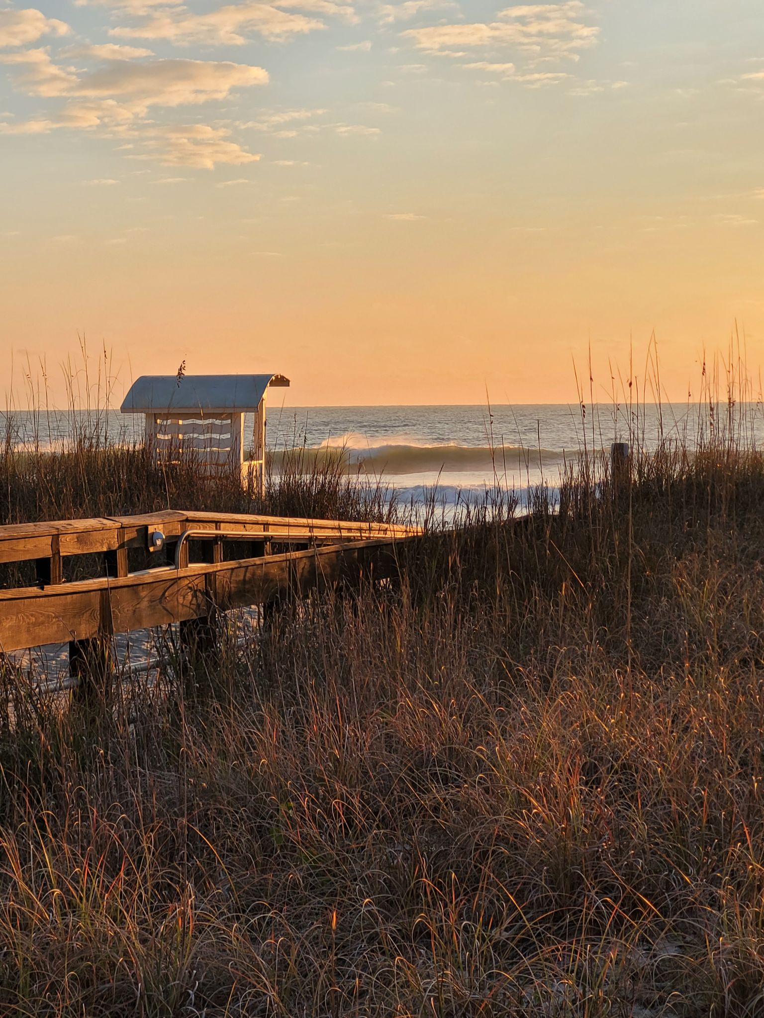 Community photo entitled  by Sue Ellen Wheeler on 12/12/2022 at Carolina Beach NC 28428