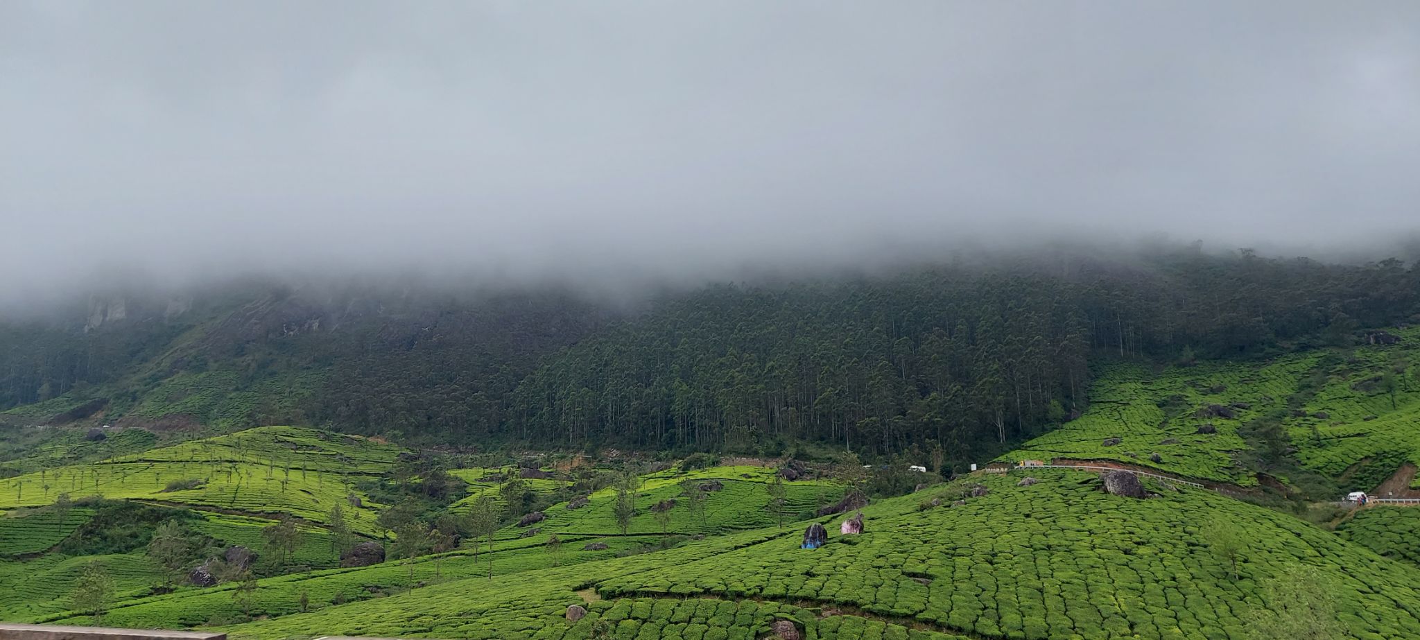 Community photo entitled  by Ch. Praneeth Sai on 10/01/2022 at Munnar, Kerala, India