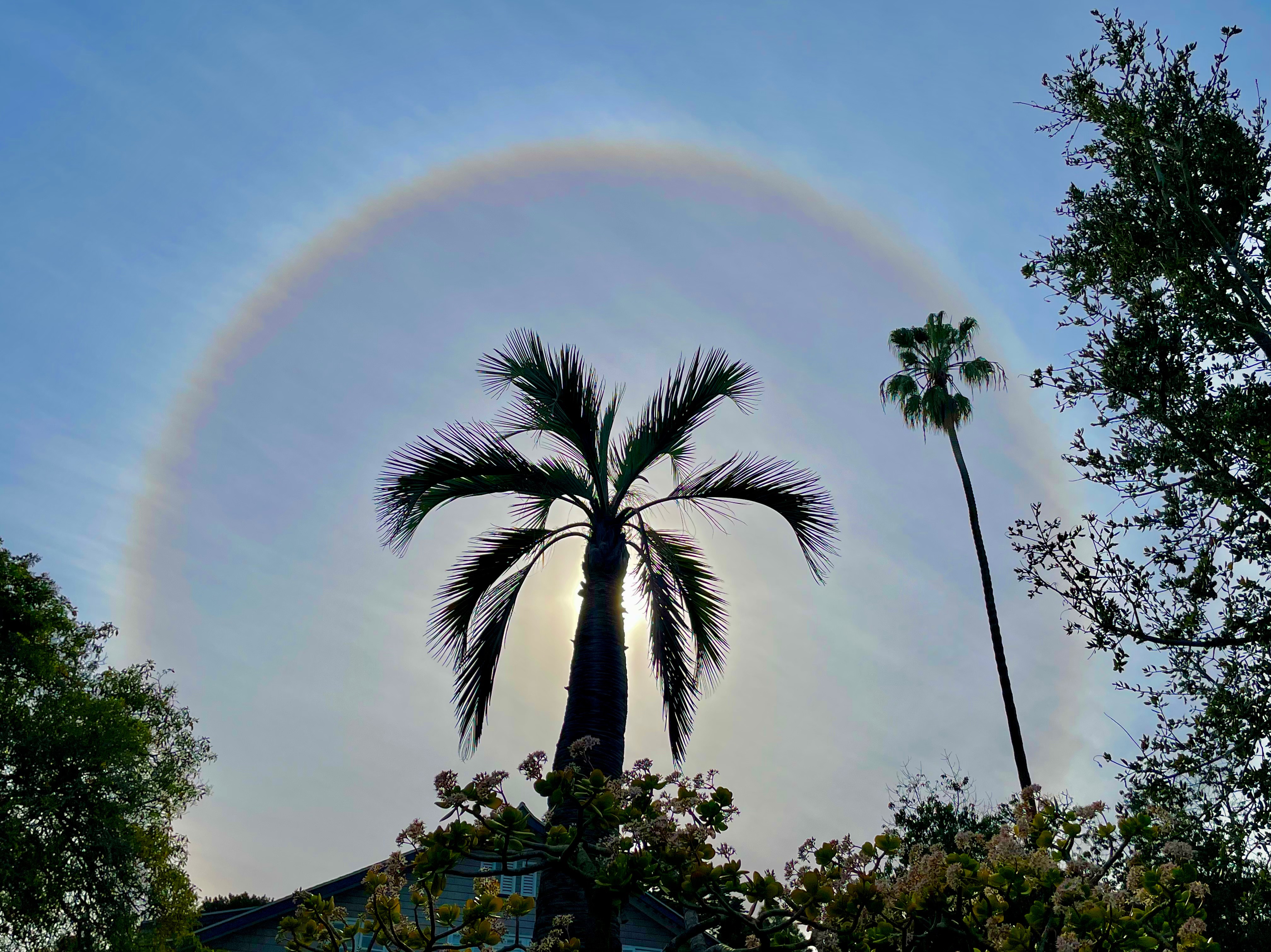 Community photo by Bonnie Nickel | San Diego, California USA