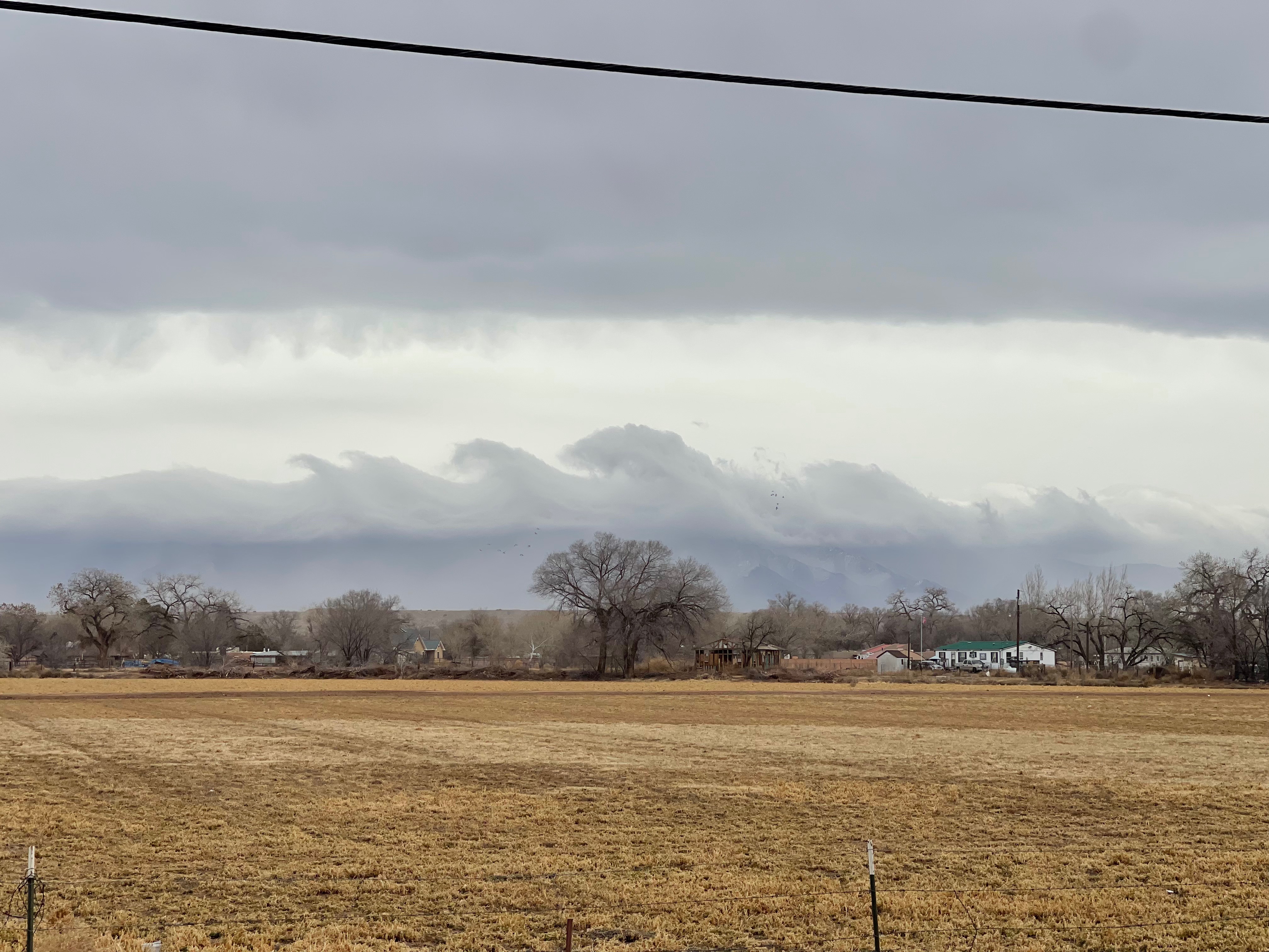 Community photo entitled  by Brittany Campbell on 01/23/2023 at Valencia County New Mexico