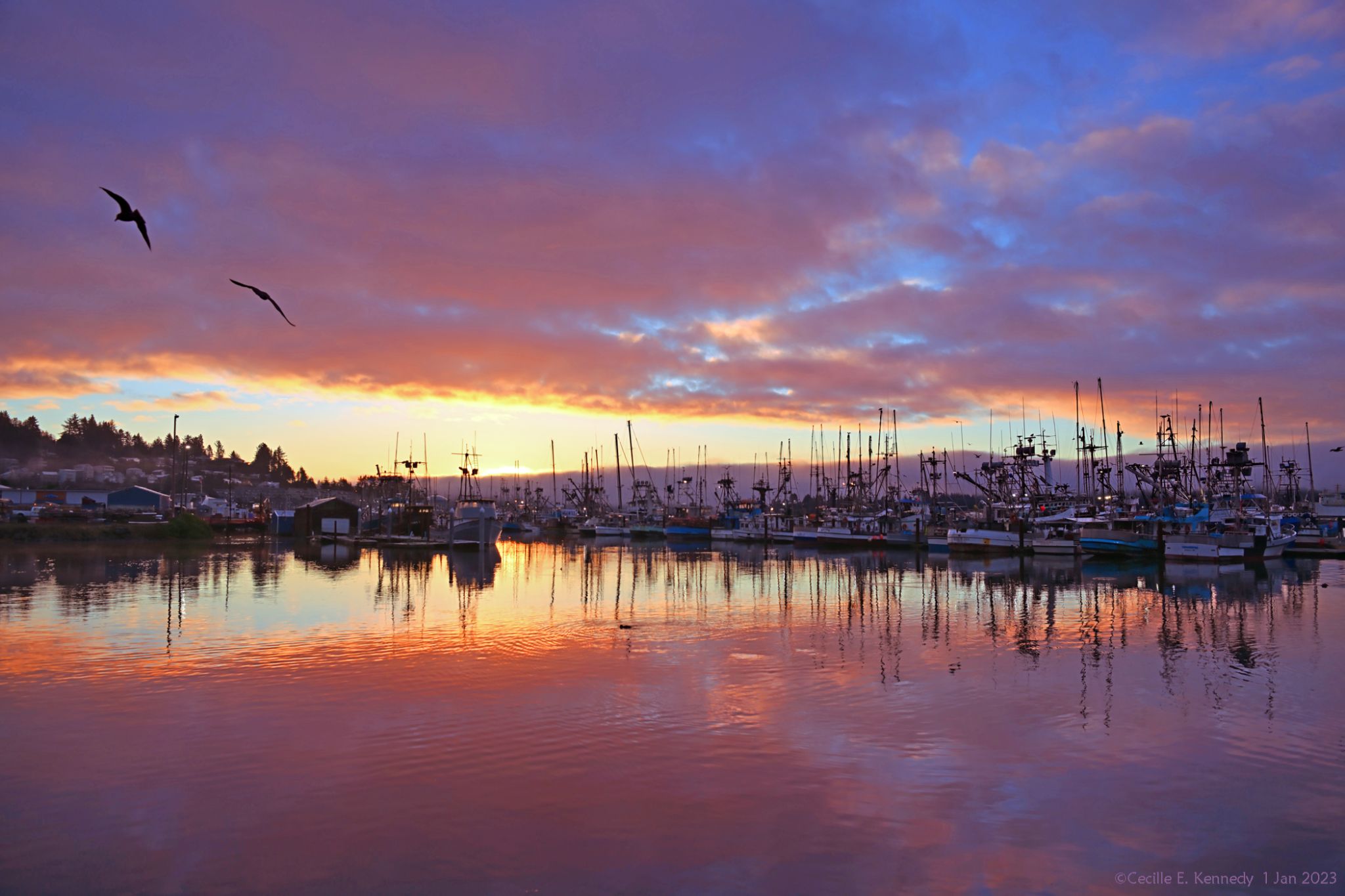 Community photo by Cecille Kennedy | Newport Harbor, Oregon