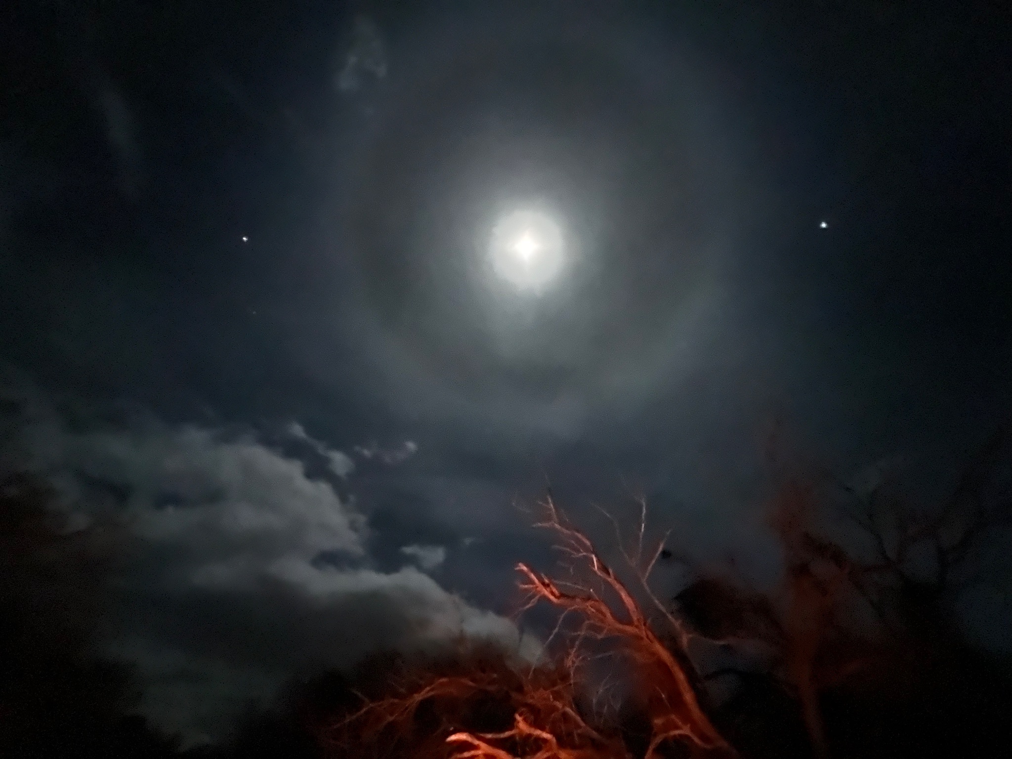 Community photo entitled  by LM Moe on 12/31/2022 at Anza Borrego State Park, CA