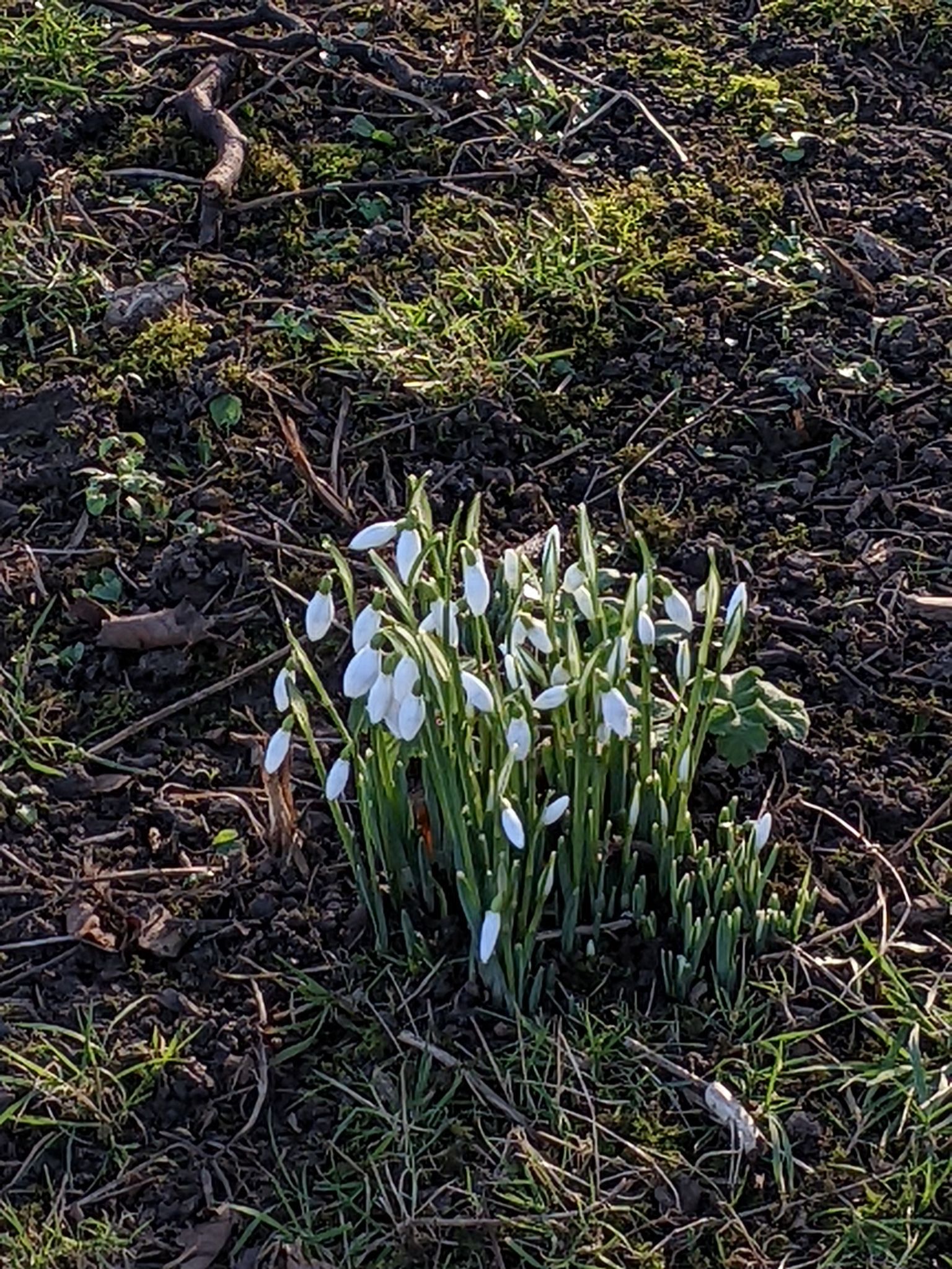 Community photo entitled  by Kevan Hubbard on 01/23/2023 at Seaton Carew, Co Durham, England