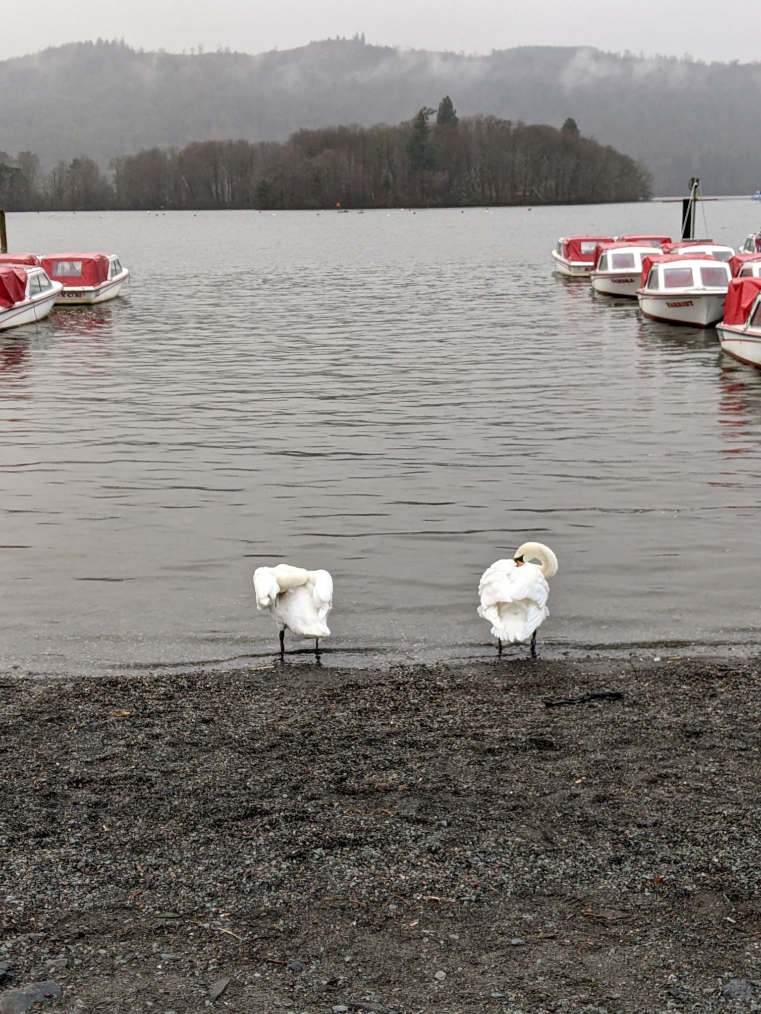 Community photo entitled  by Kevan Hubbard on 01/25/2023 at Bowness on Windermere, Lake District National Park, England