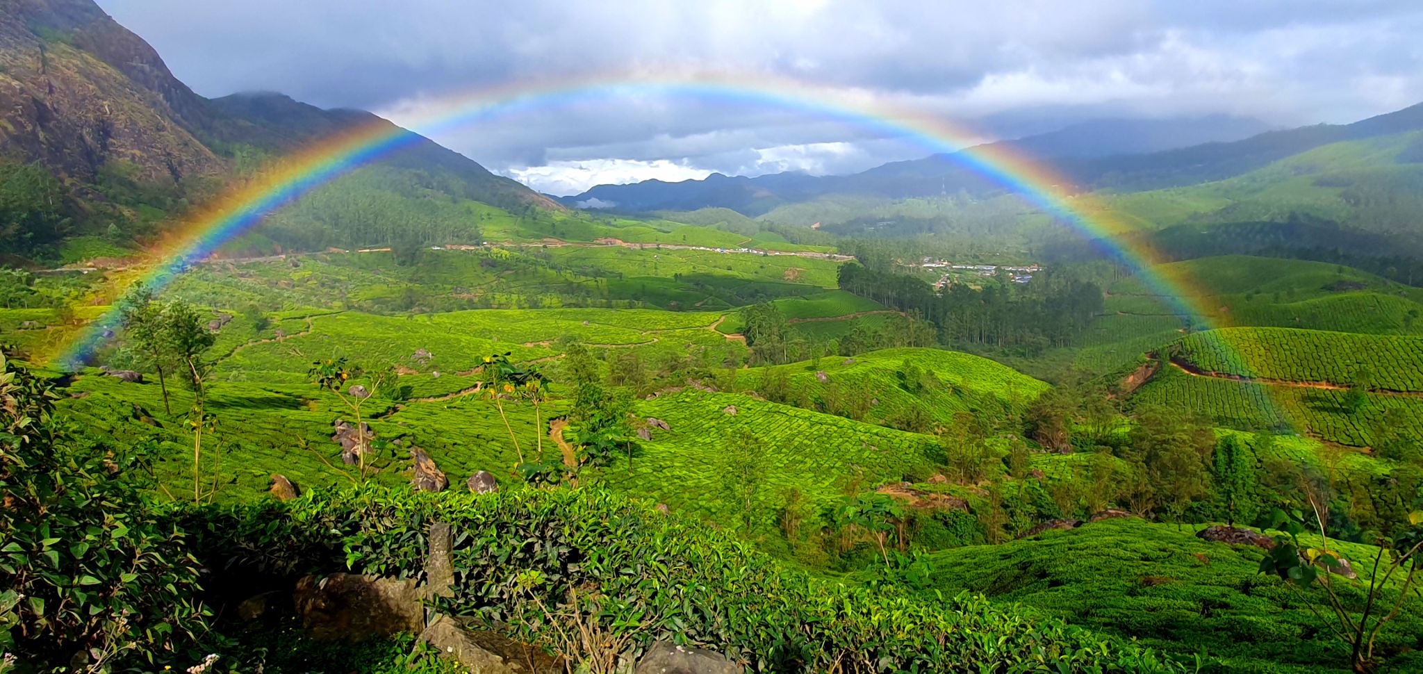 Community photo by Shivani Anthiyur | Munnar,Kerala,India