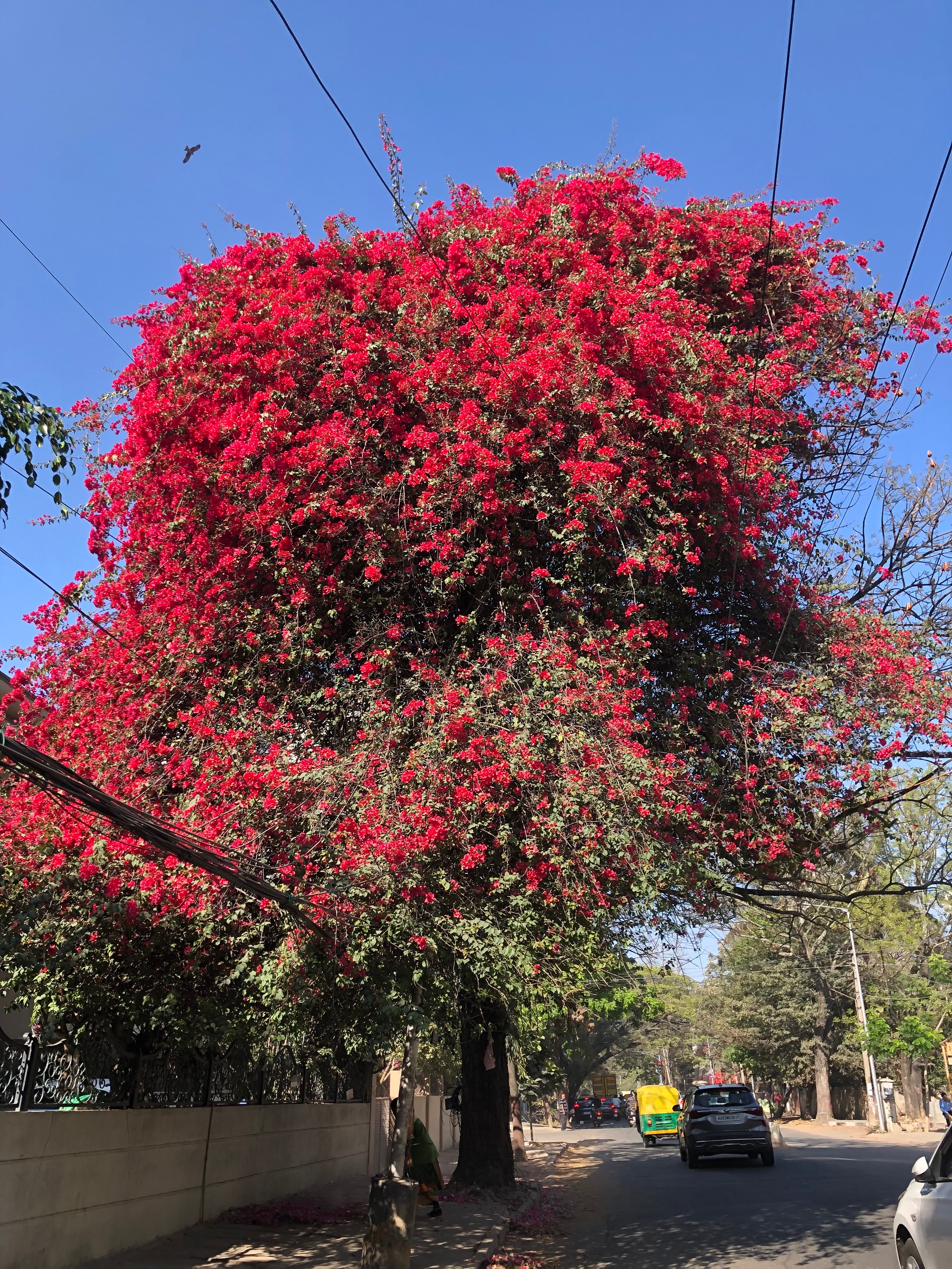 Community photo by Raja Rao