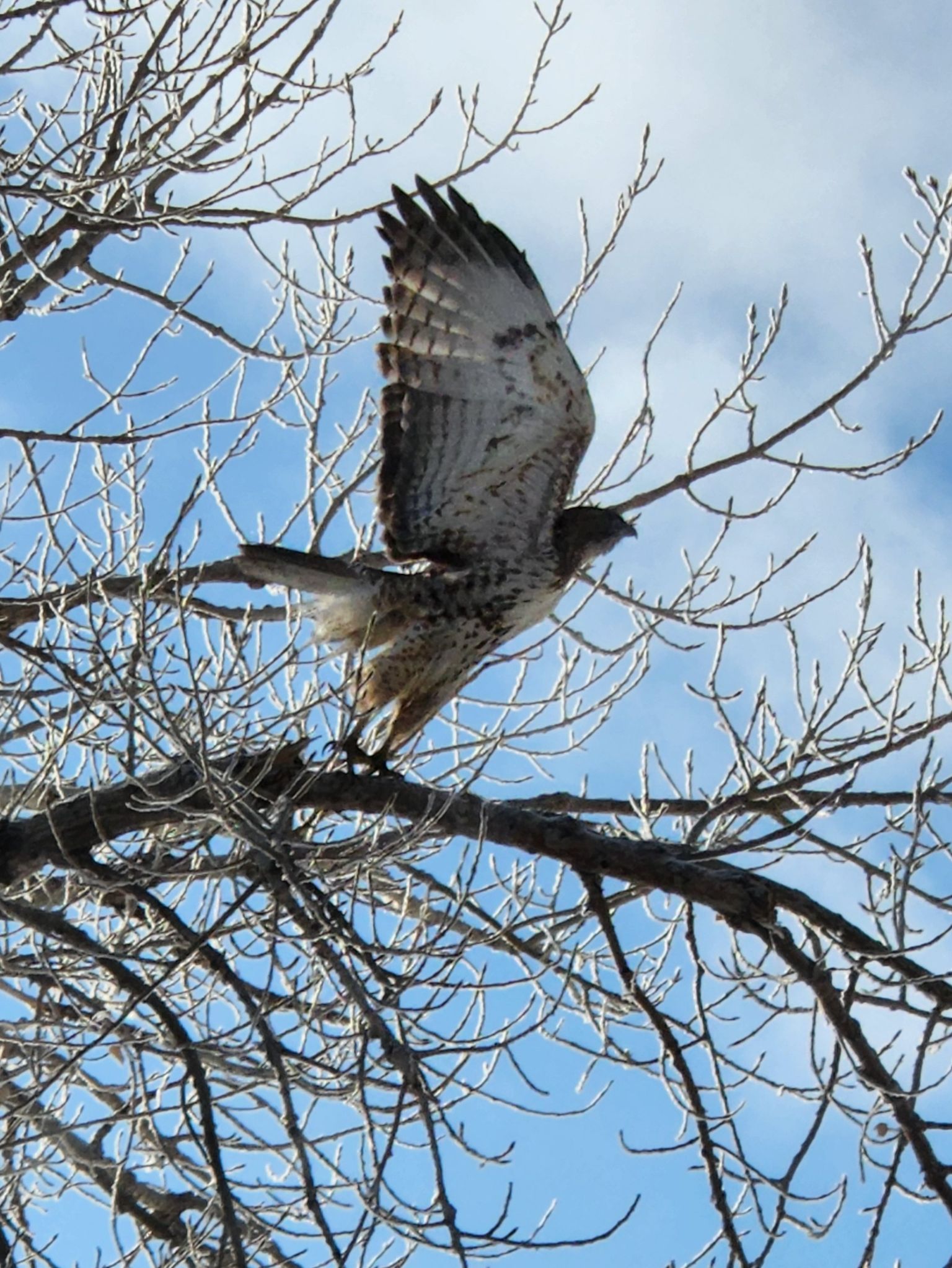 Community photo entitled  by Gregory Dupont on 01/30/2023 at Colorado Springs, Colorado, USA