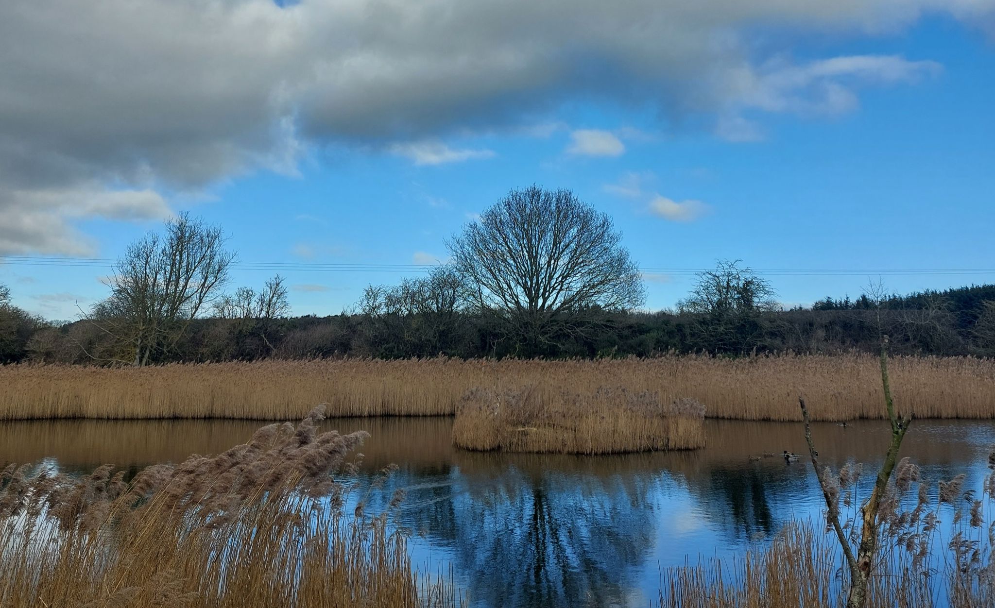 Community photo by Rachael Young | Morpeth Northumberland