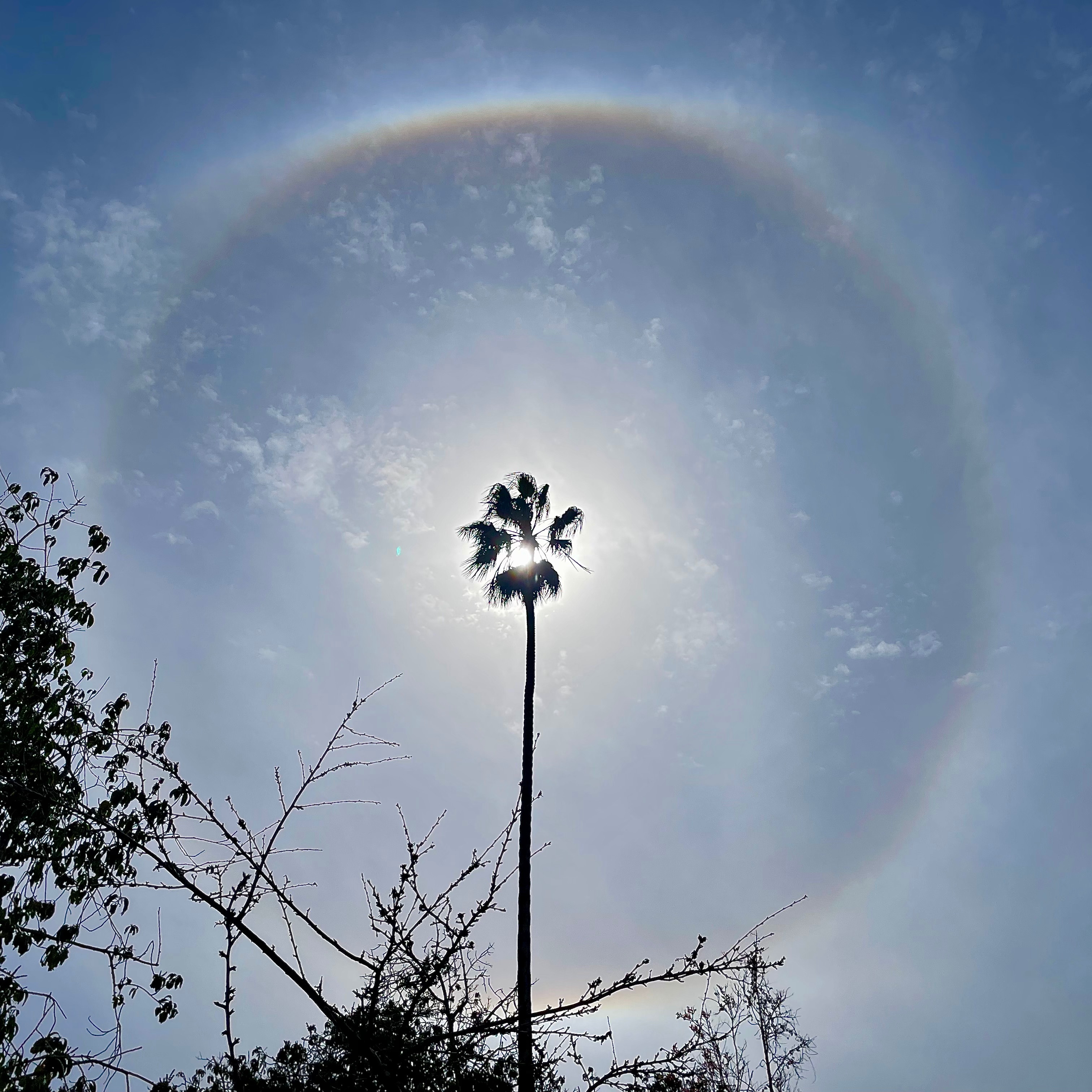 Community photo by Bonnie Nickel | Point Loma, San Diego, California, USA