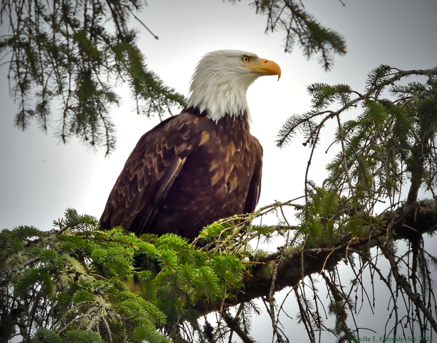 Community photo by Cecille Kennedy | Depoe Bay, Oregon