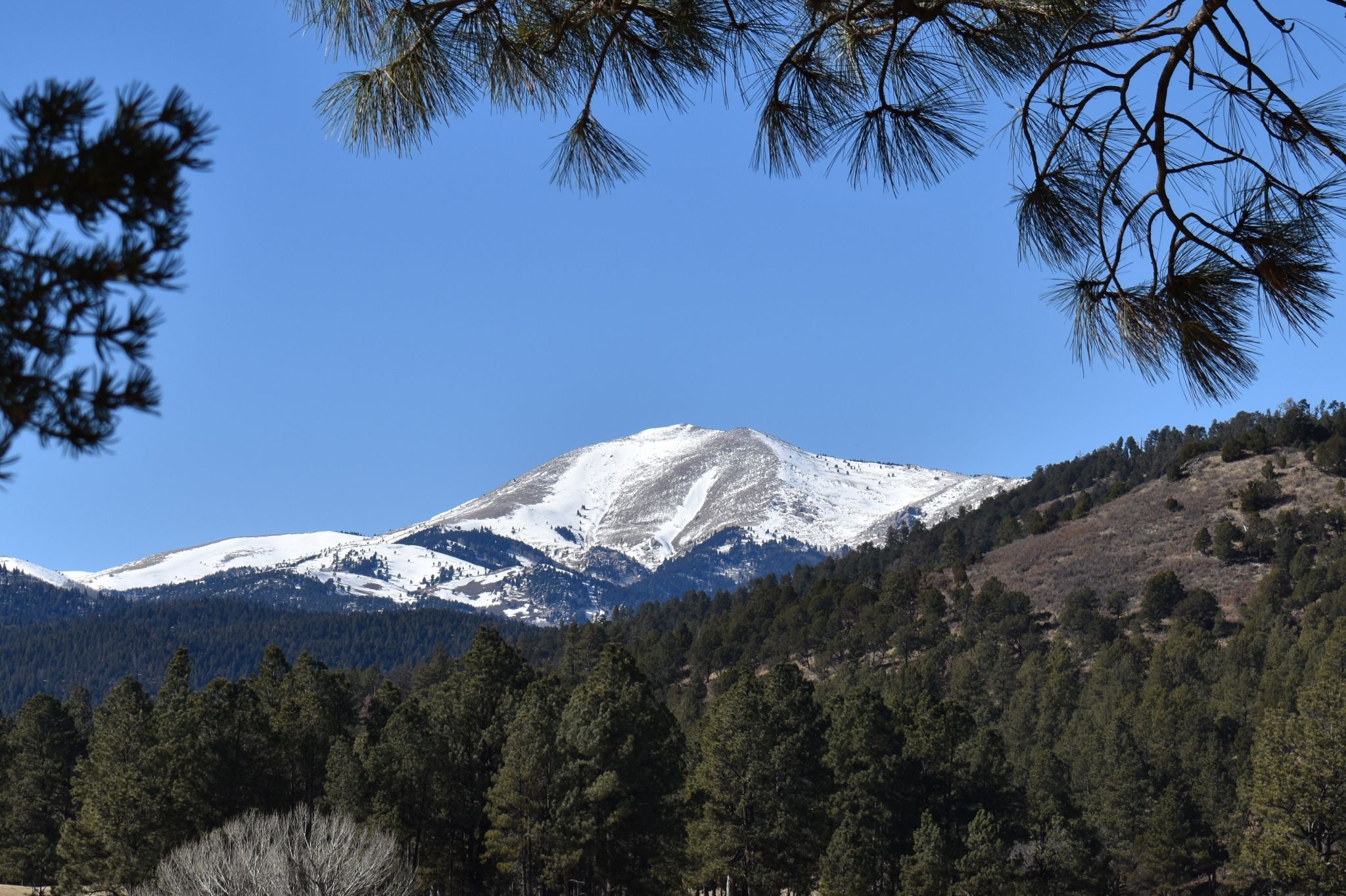 Community photo entitled  by James Gaulding on 02/04/2023 at Ruidoso, New Mexico