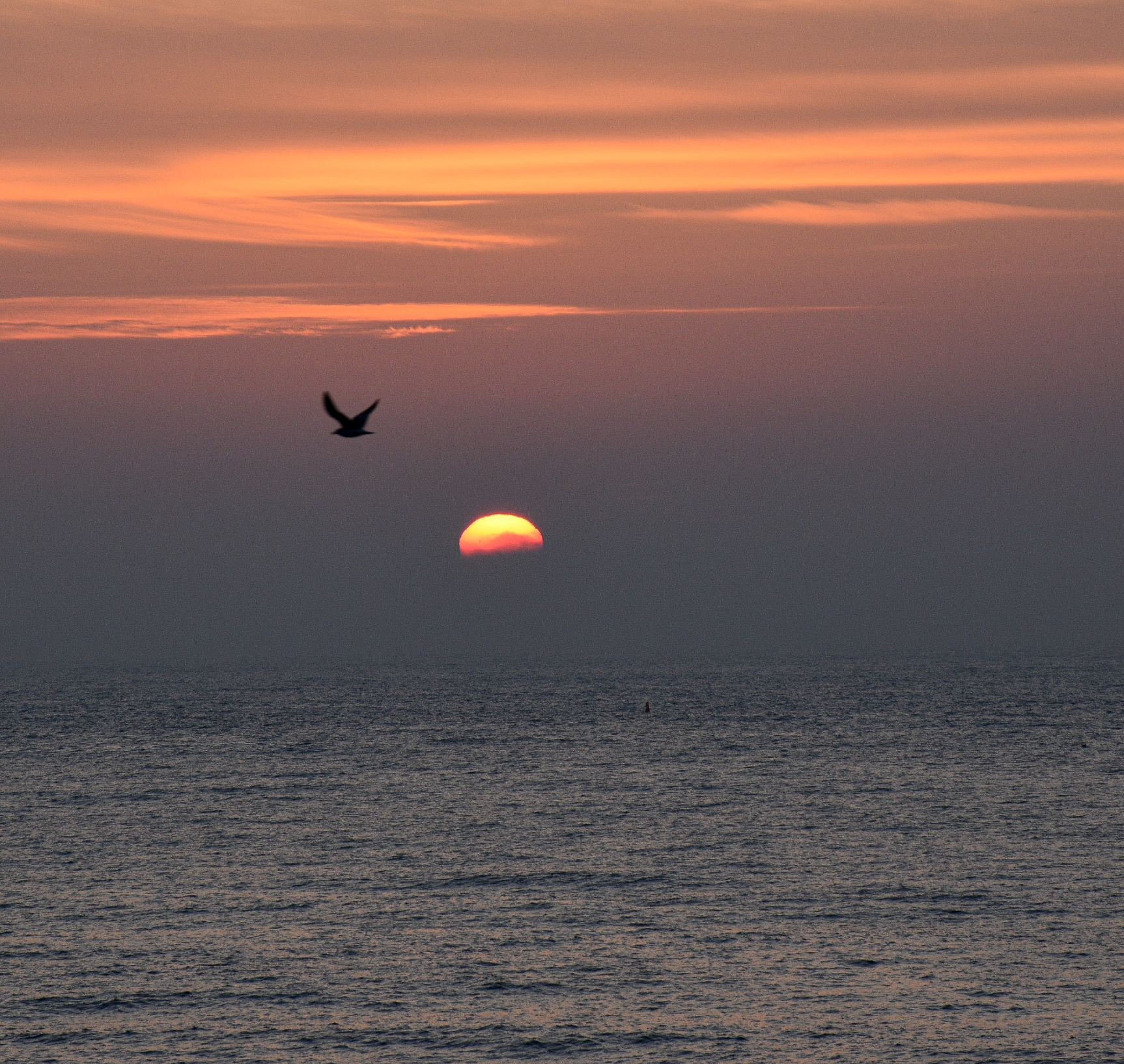 Community photo entitled  by Rachael Young on 02/14/2023 at Newbiggin-by-the-sea, England