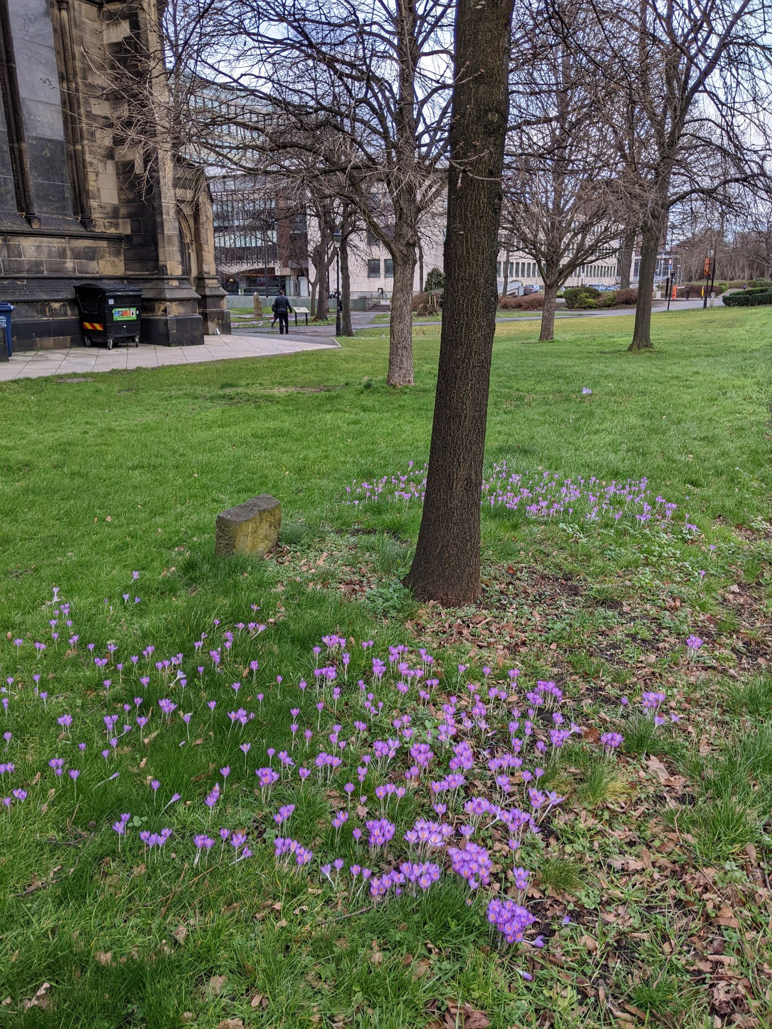 Community photo entitled  by Kevan Hubbard on 02/20/2023 at Newcastle, Northumberland, England