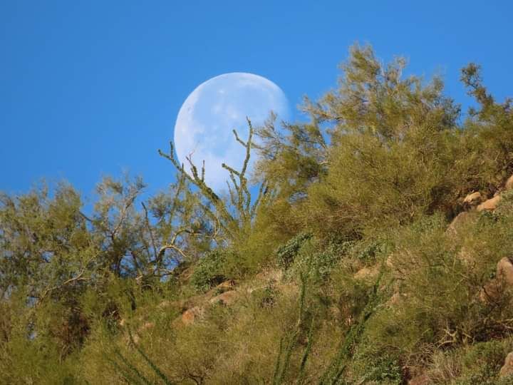 Community photo by Joseph Smith | Mesa Az