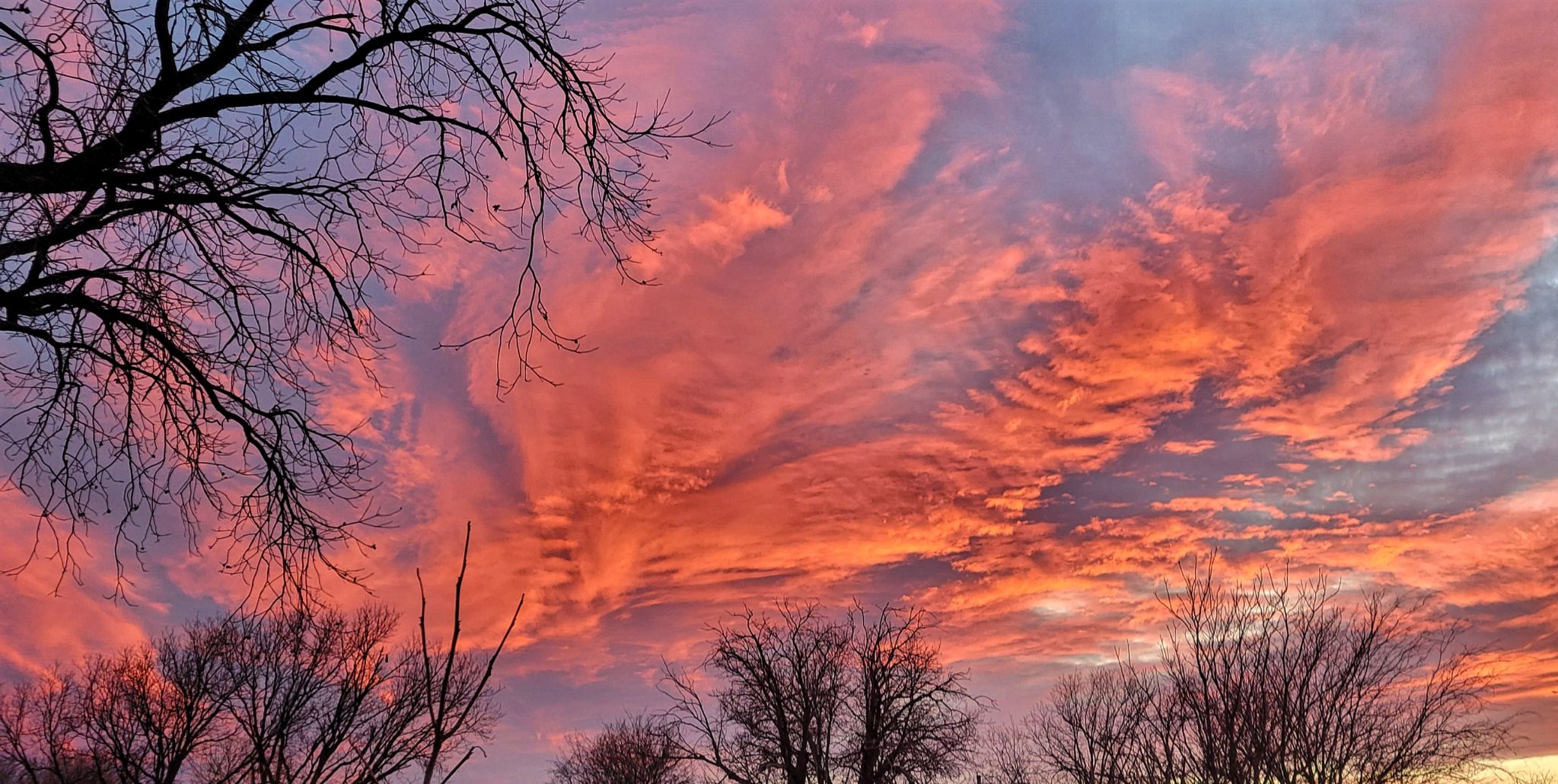 Community photo by MELISSA MORRIS | Abilene, TX USA