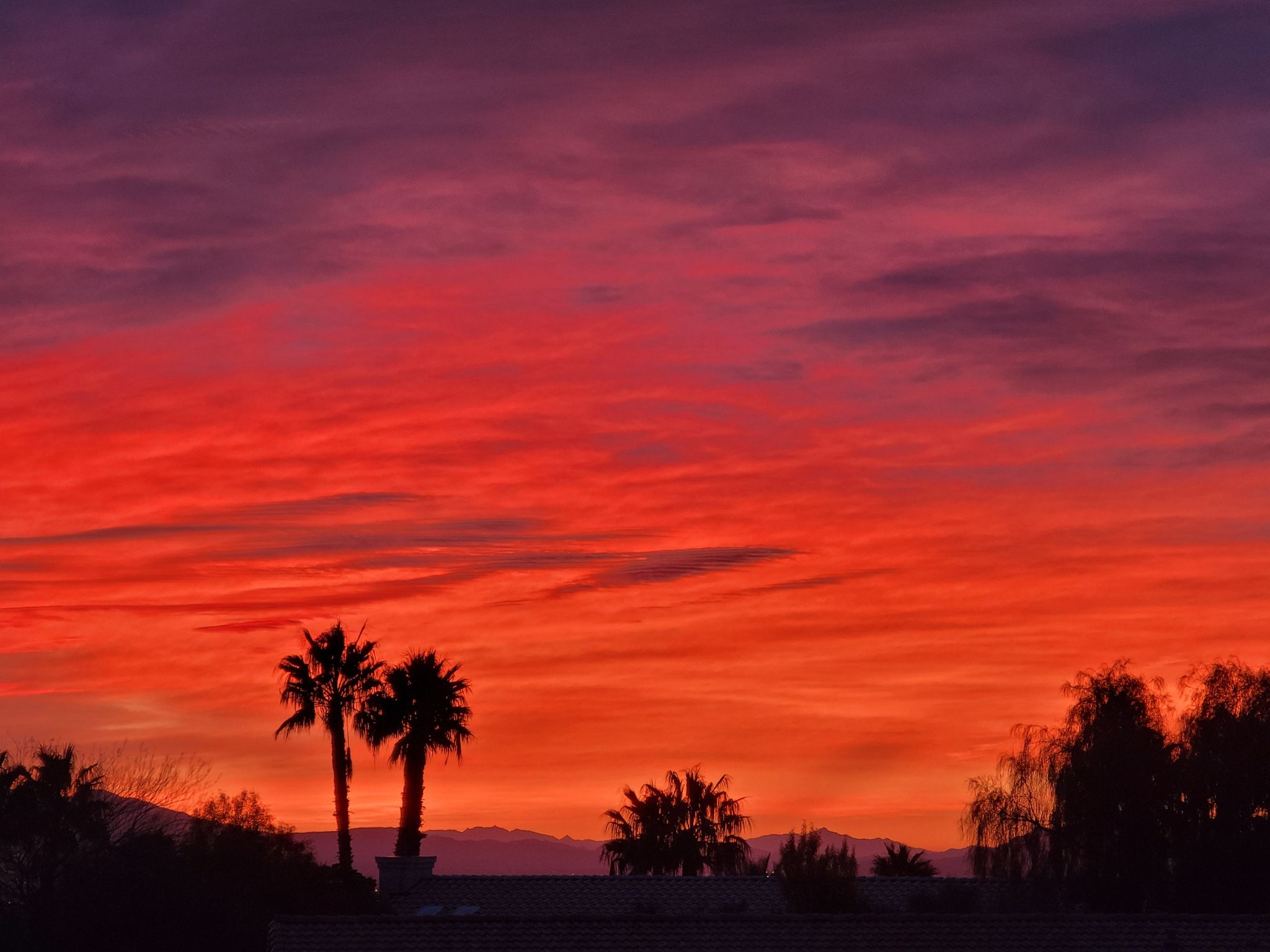 Community photo entitled  by John Solvie on 03/08/2023 at Las Vegas, Nevada