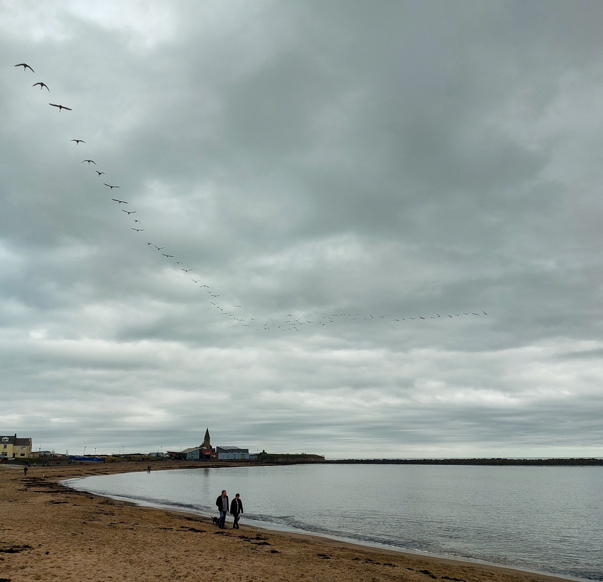 Community photo entitled  by Rachael Young on 03/19/2023 at Newbiggin-by-the-sea Northumberland Coast