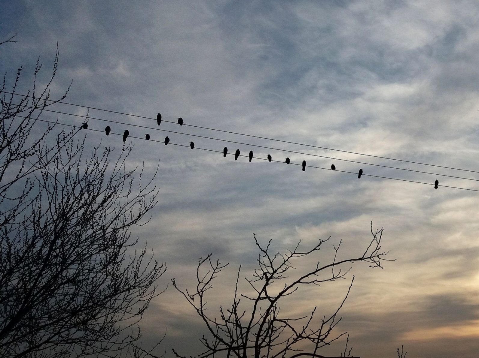 Community photo entitled  by Hassan Dadashi . arani on 03/02/2023 at Esfahan . Iran