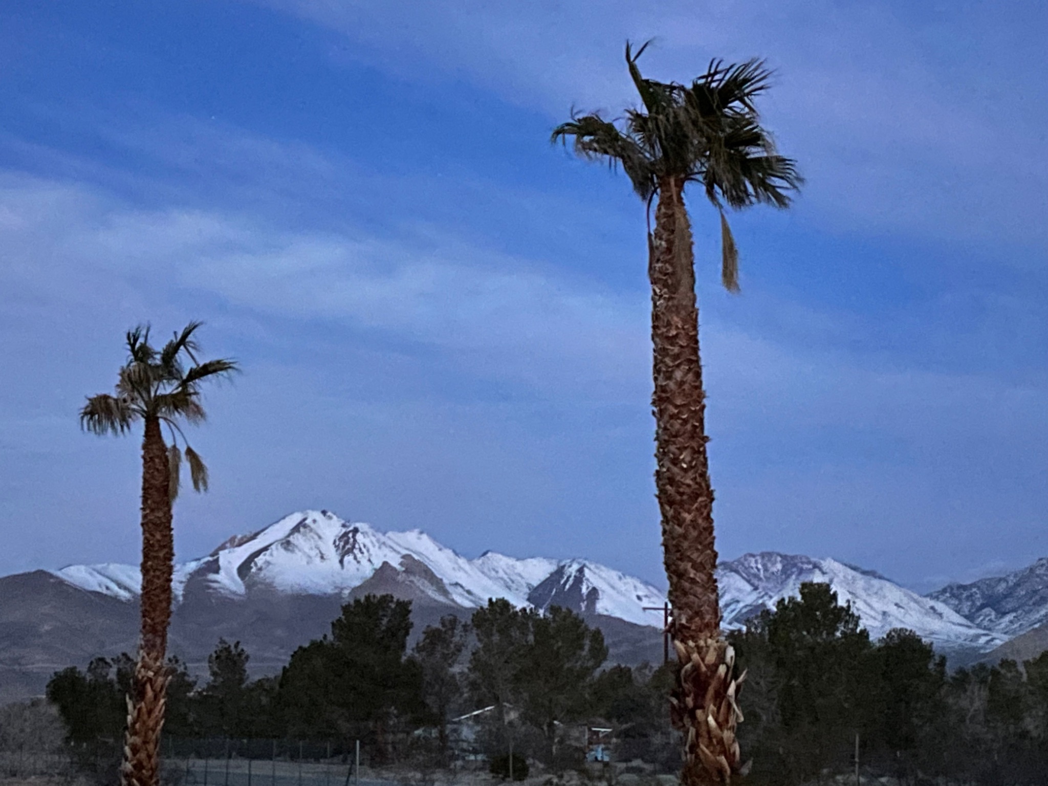 Community photo entitled  by Gail Stabe on 03/08/2023 at Inyokern, CA USA