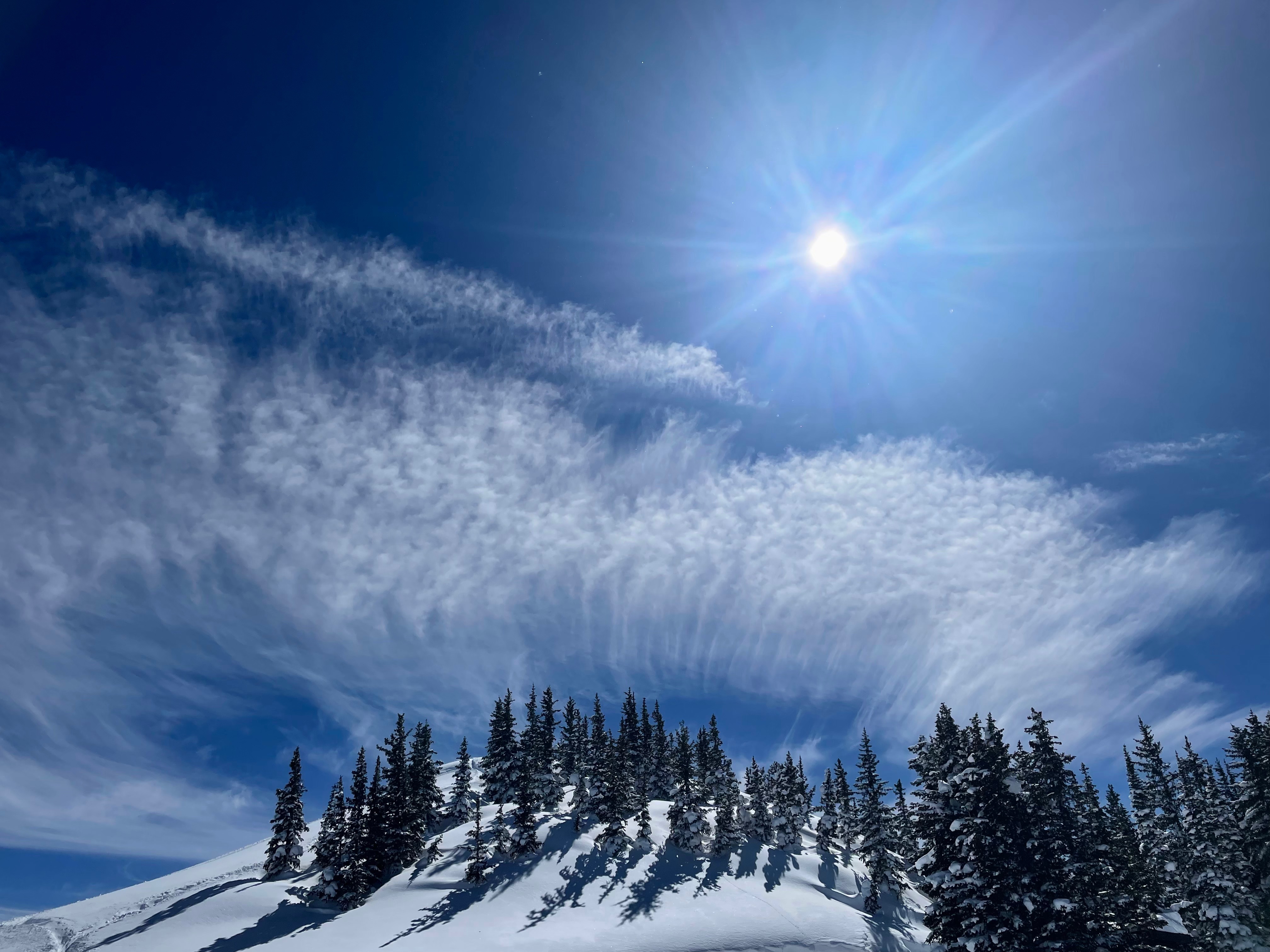 Community photo by Carolyn Holmes | Alta, Utah, USA