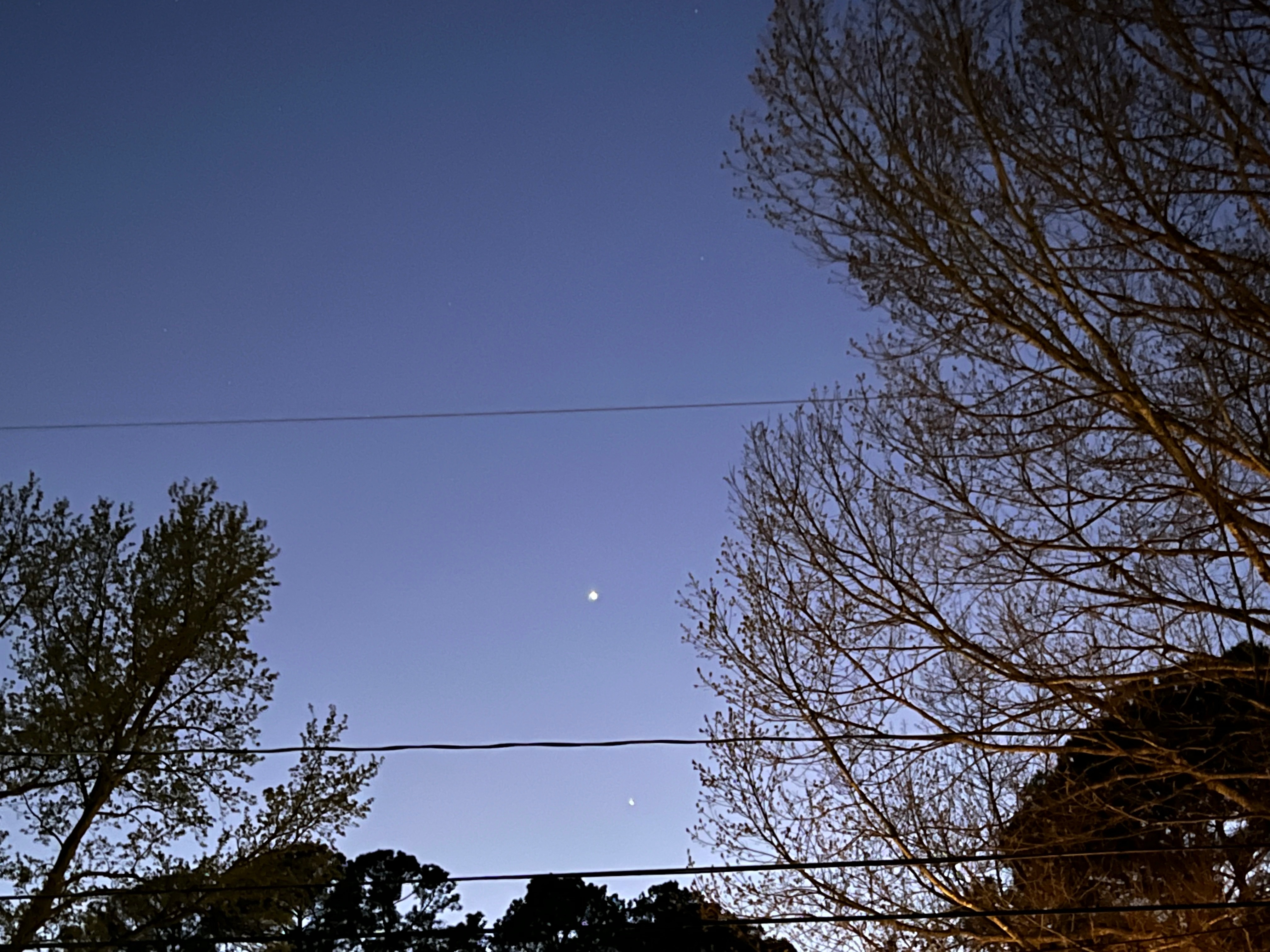 Community photo by Bri Baldo | Virginia Beach, Virginia