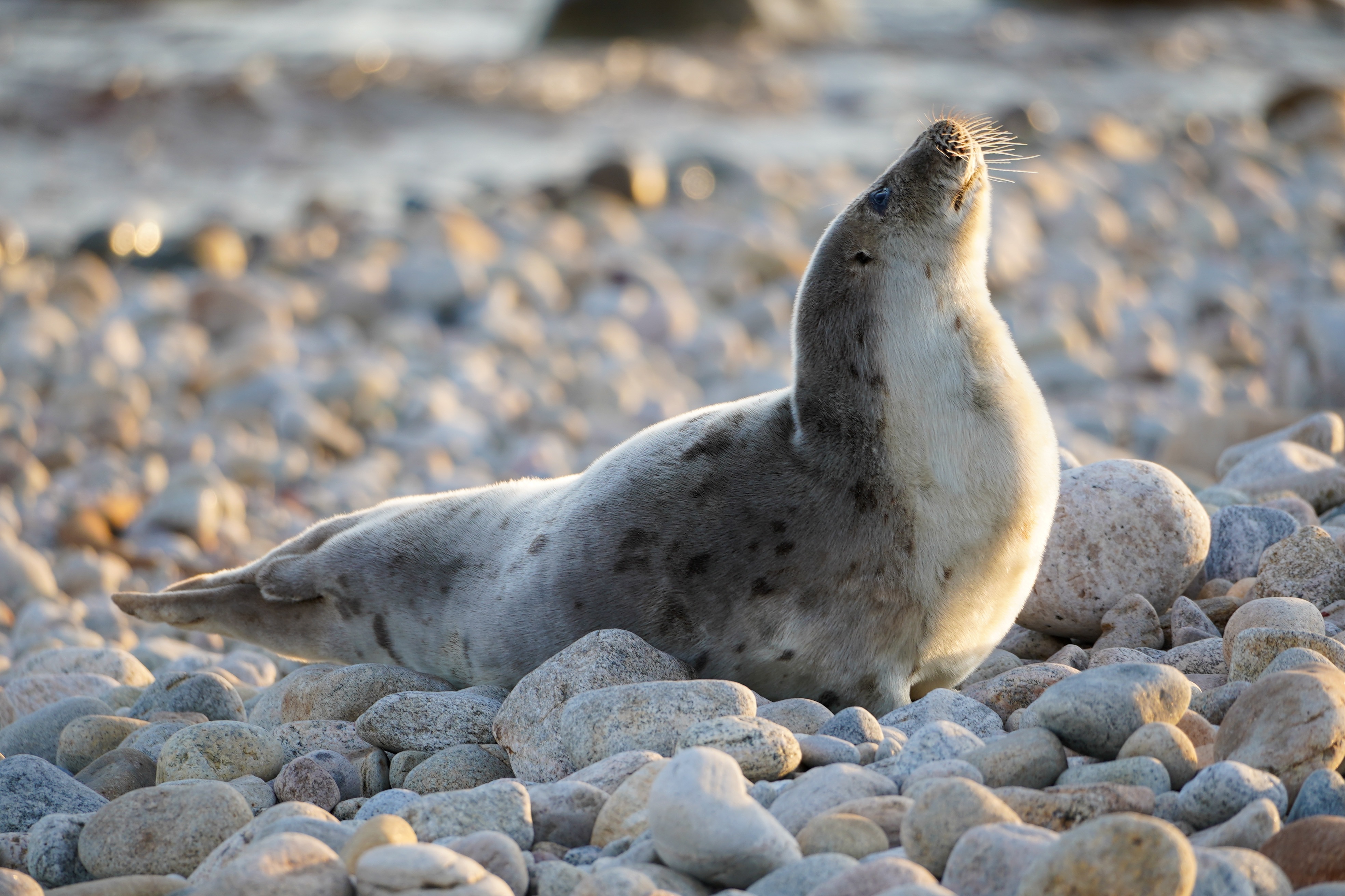 Community photo by Marlin Bloethe | Fishers Island, NY