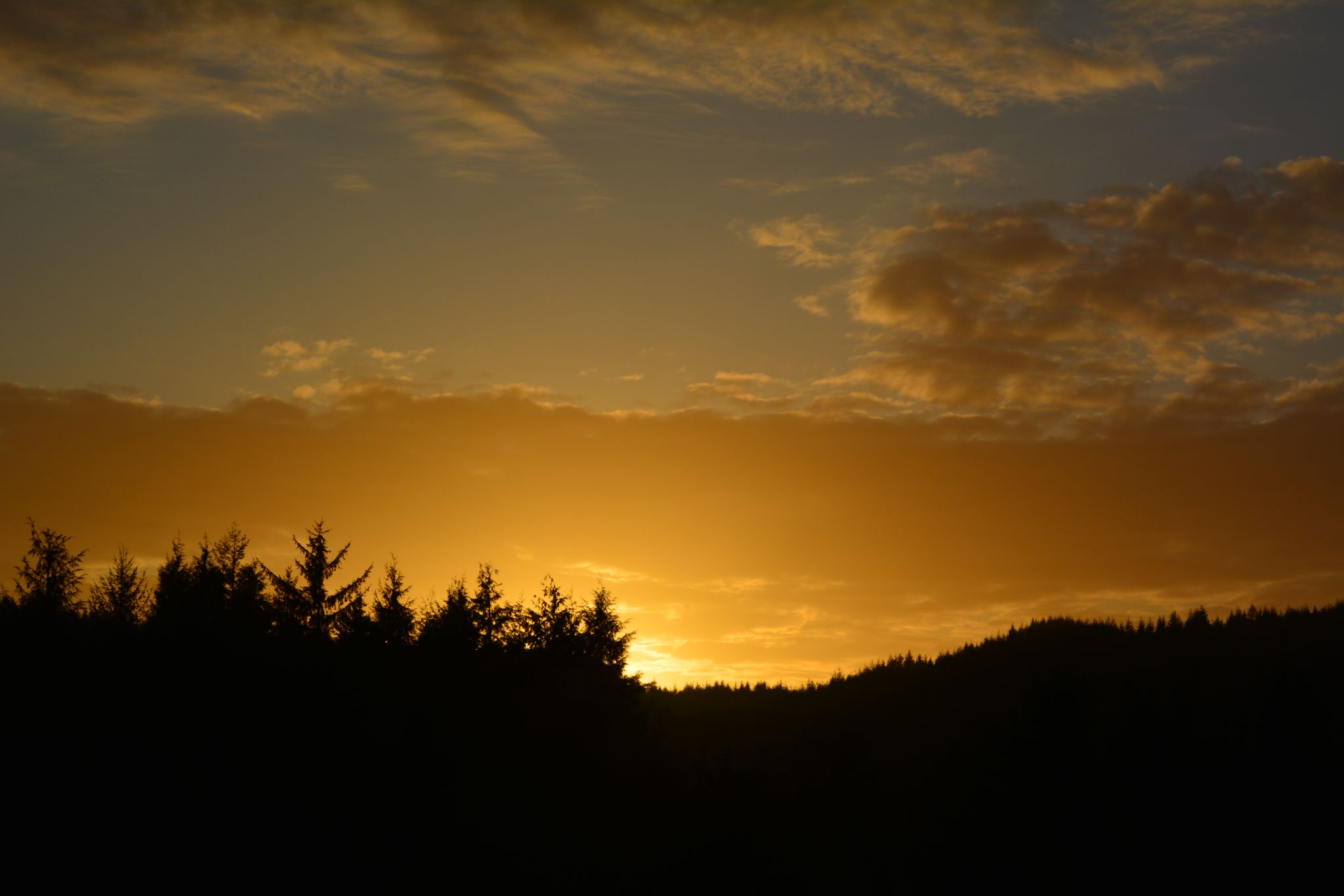 Community photo entitled  by Rhonda Black on 03/10/2023 at Reedsport, Oregon