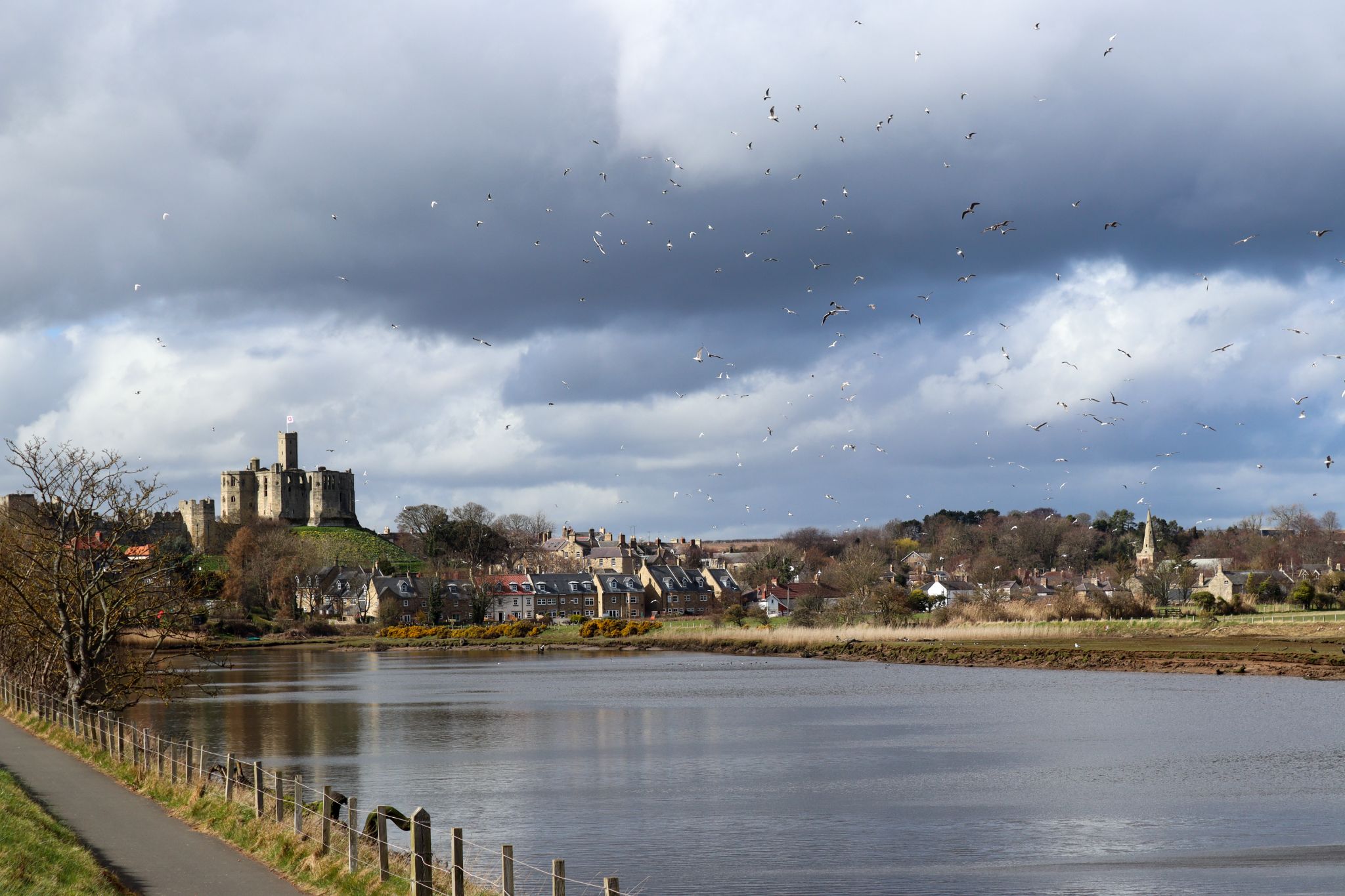 Community photo entitled  by Rachael Young on 03/23/2023 at Warkworth , Northumberland