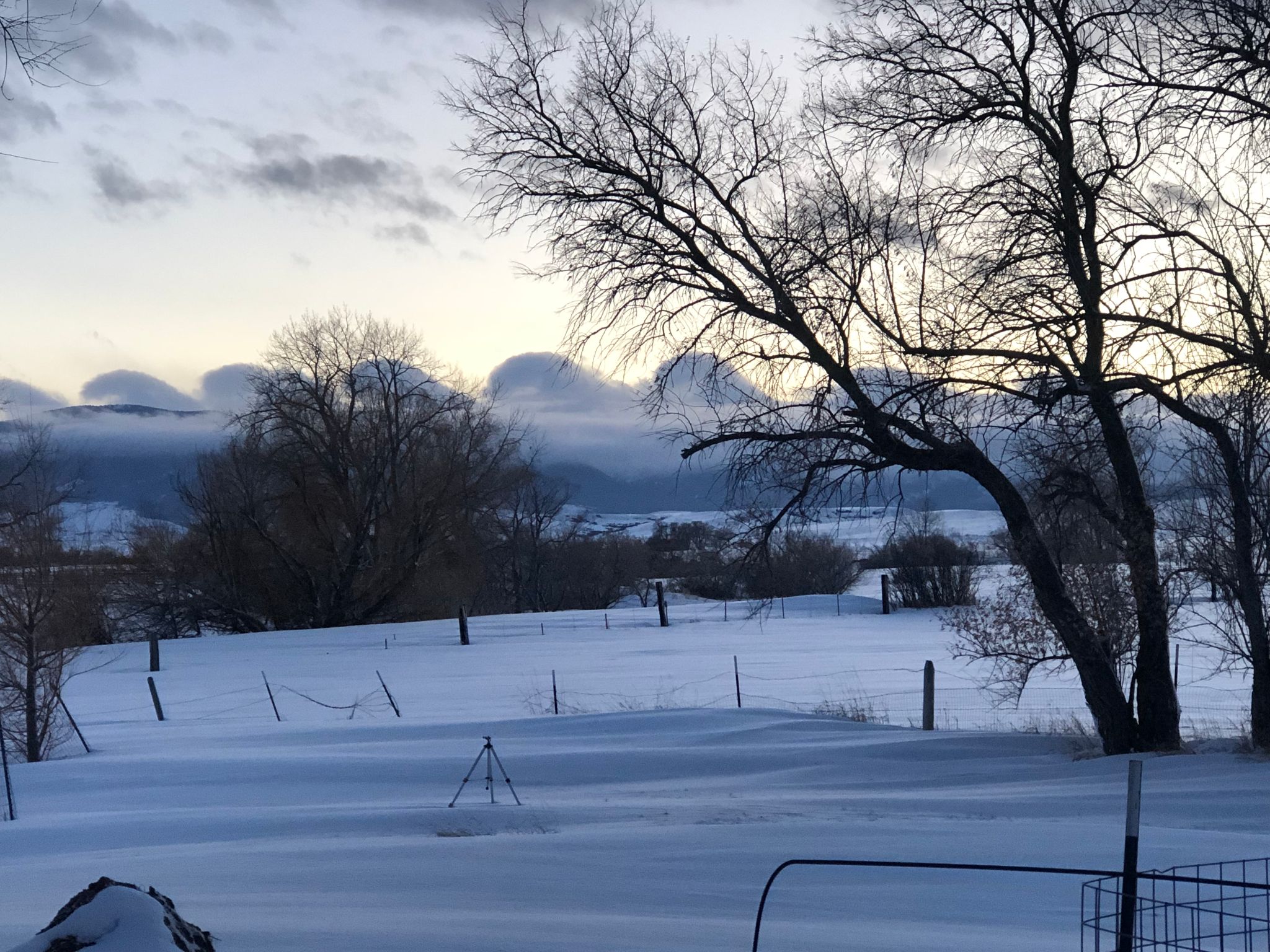 Community photo entitled  by Heidi Robinson on 02/20/2023 at Sheridan, Wyoming