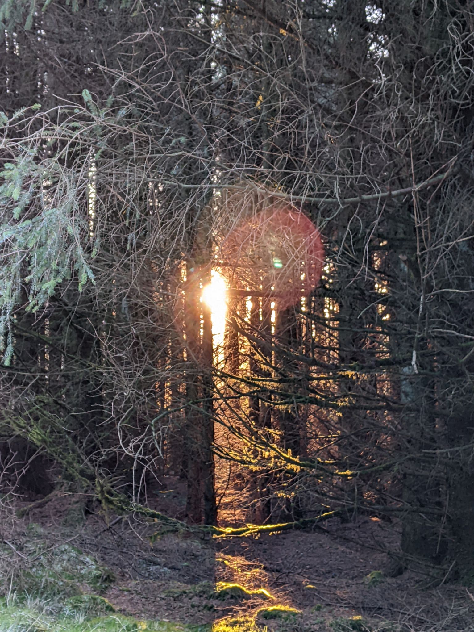 Community photo entitled  by Kevan Hubbard on 03/09/2023 at Harwood Forest, Northumberland National Park, England