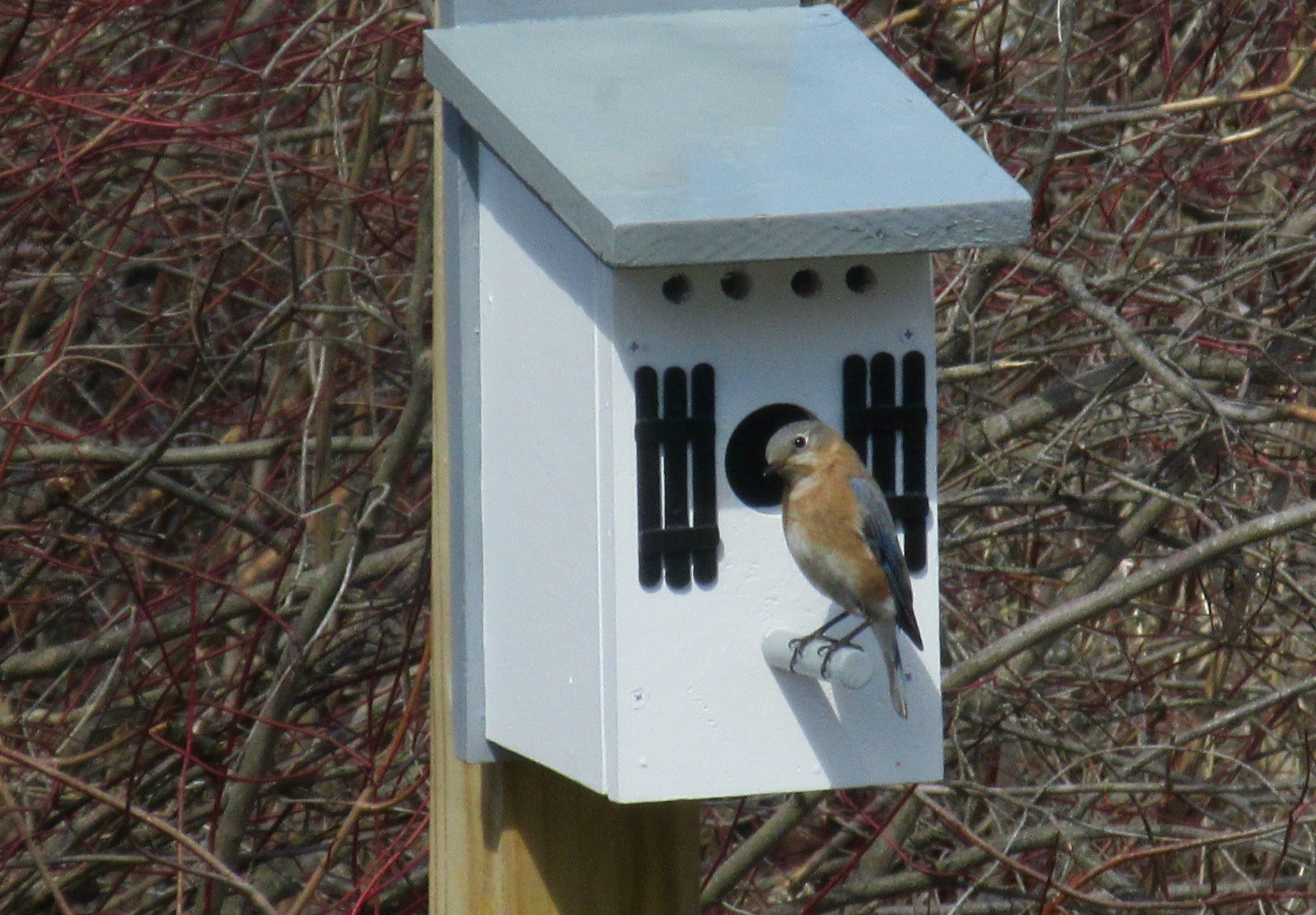 Community photo by beth kenneweg | upstate New York