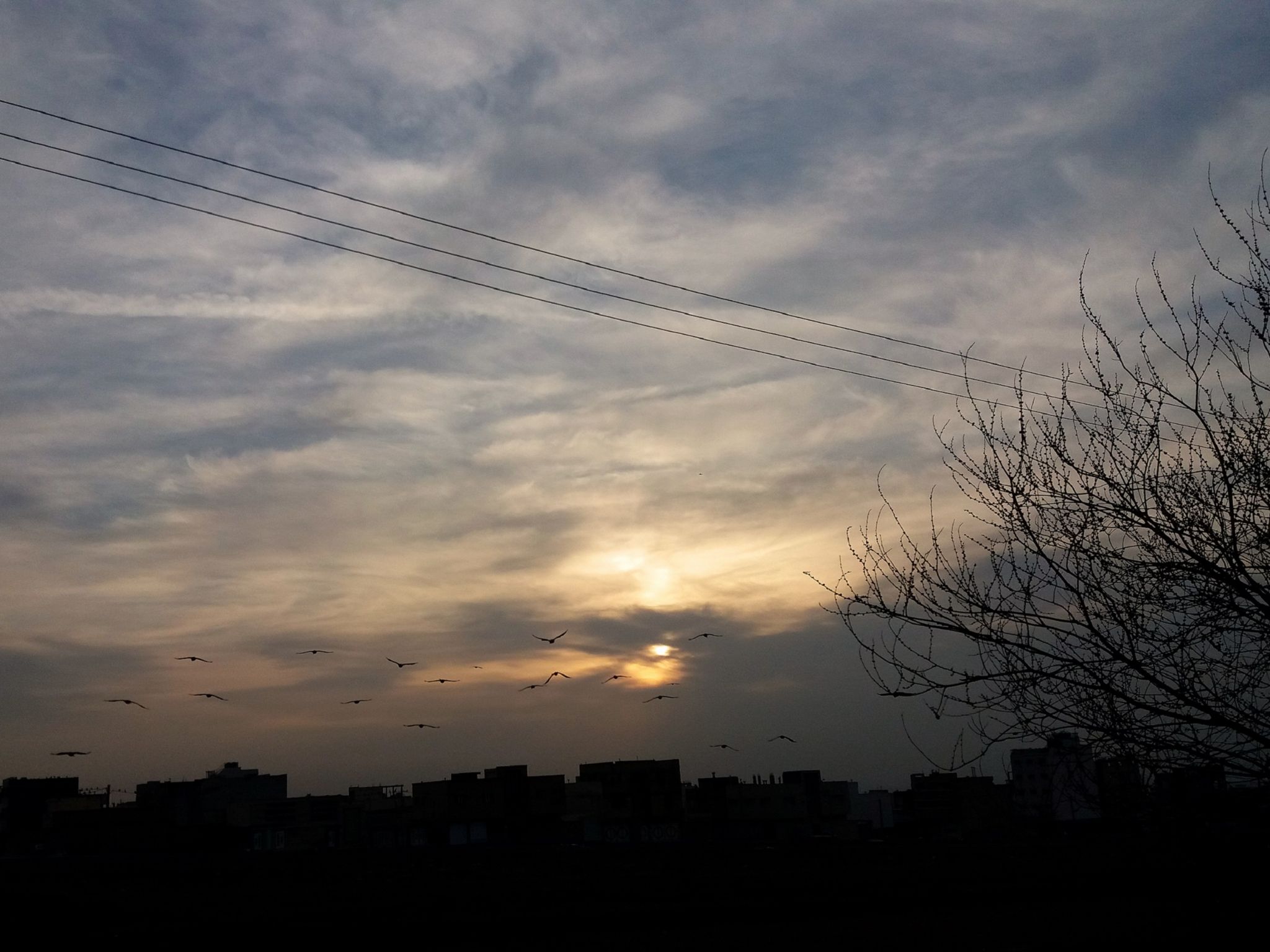 Community photo entitled  by Hassan Dadashi . arani on 04/03/2023 at Esfahan . Iran