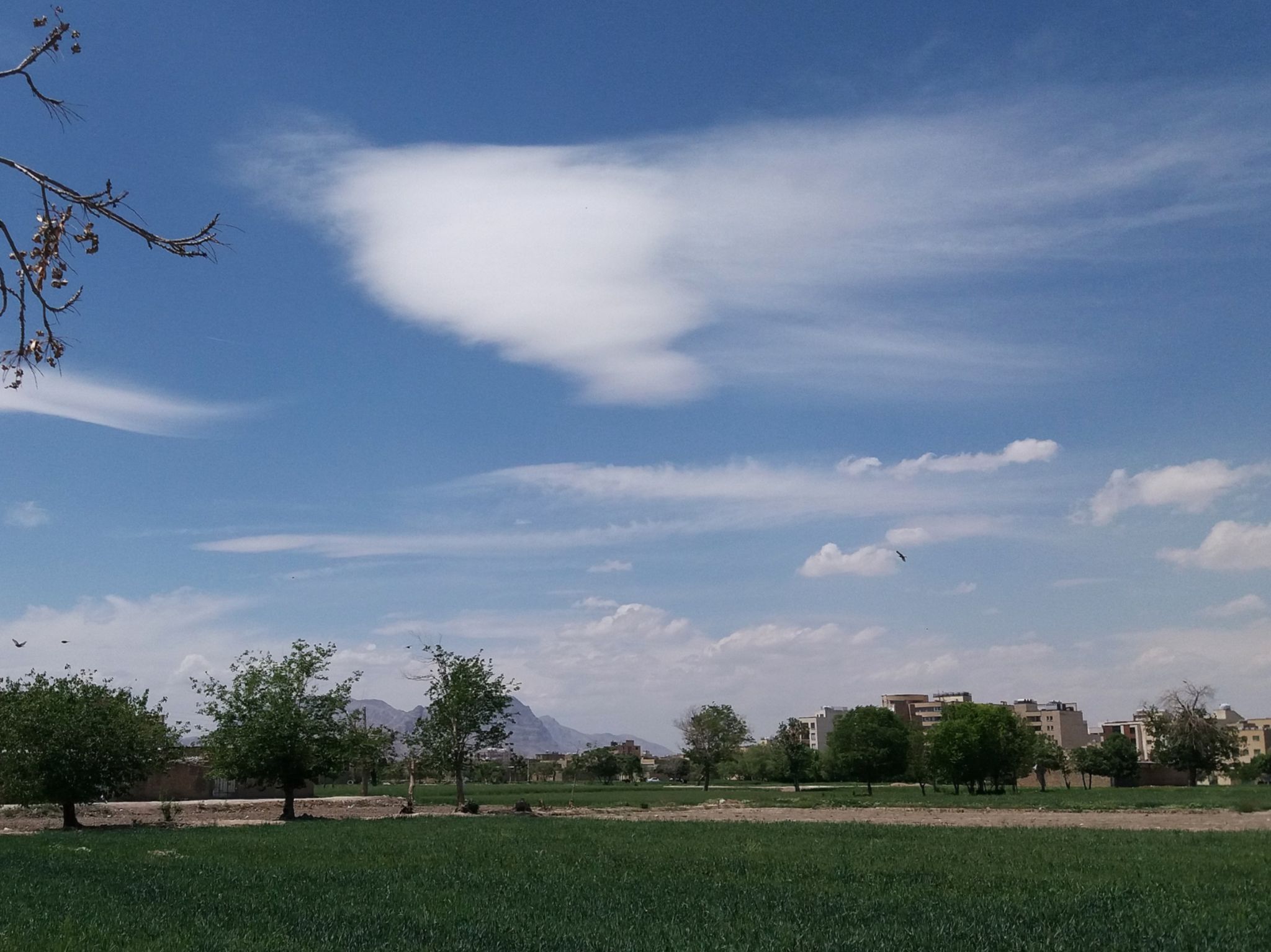 Community photo entitled  by Hassan Dadashi . arani on 04/22/2023 at Esfahan . Iran