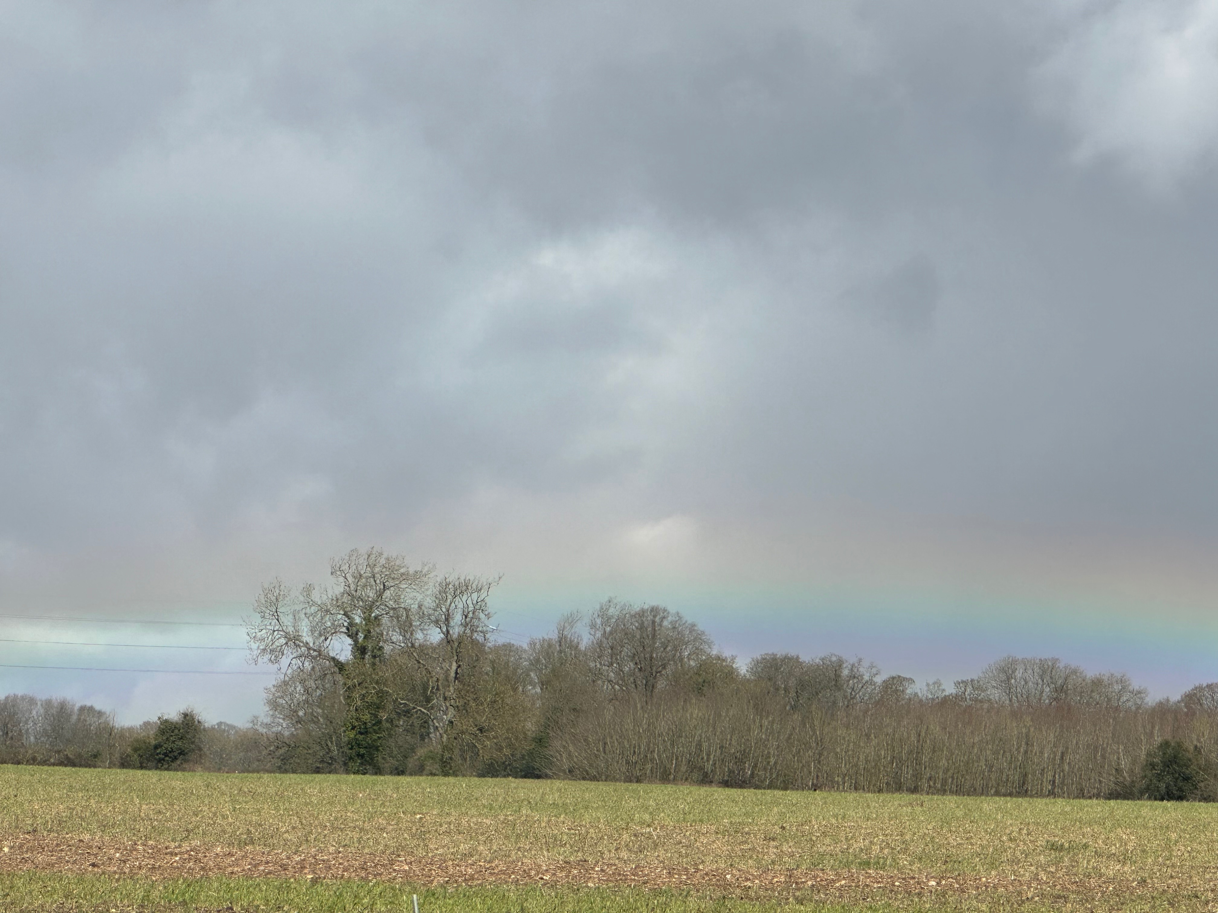 Community photo by Jenni Walker | Winchester UK