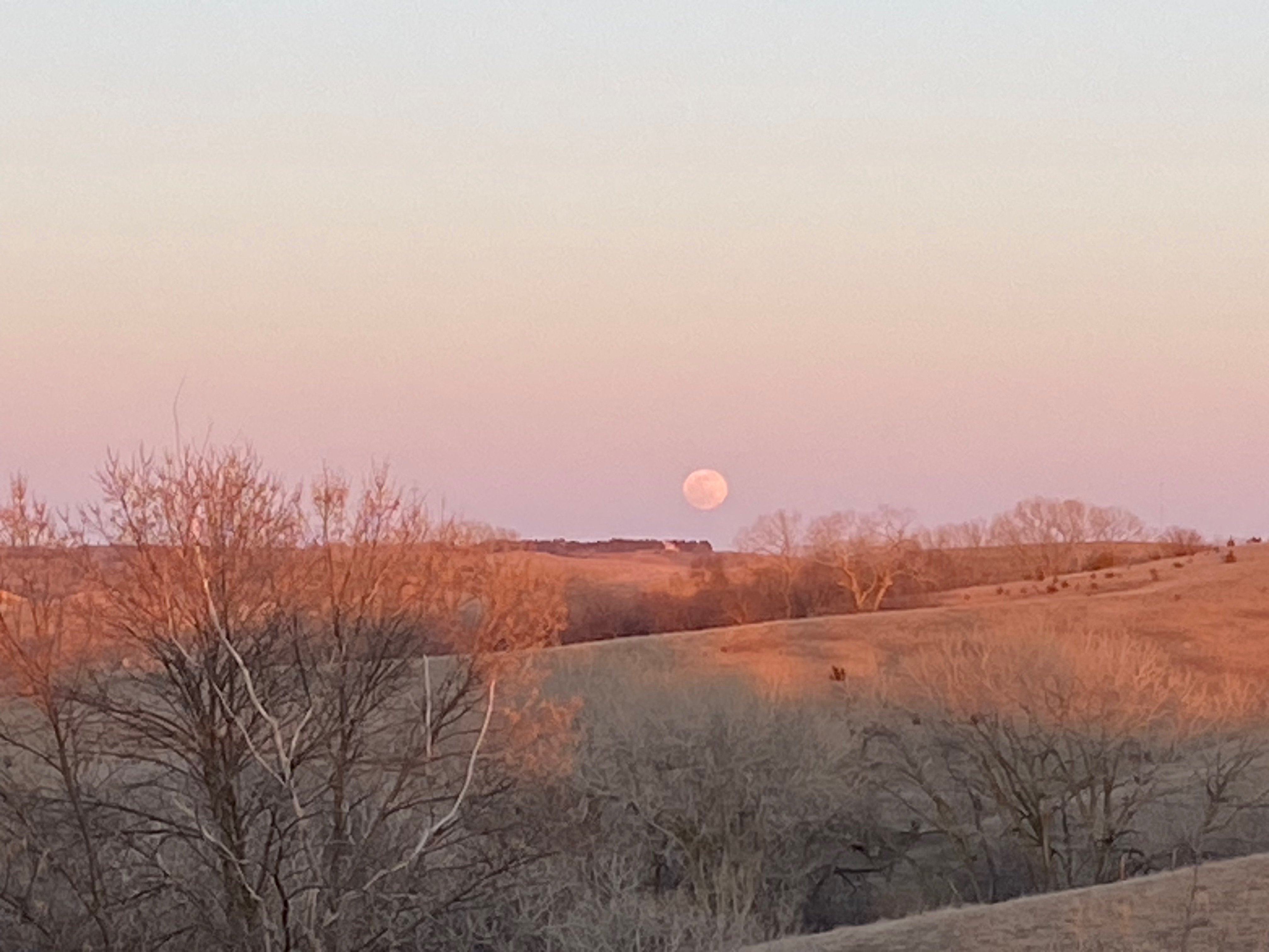 Community photo by Leesa McNeil | SW Plymouth County, Iowa