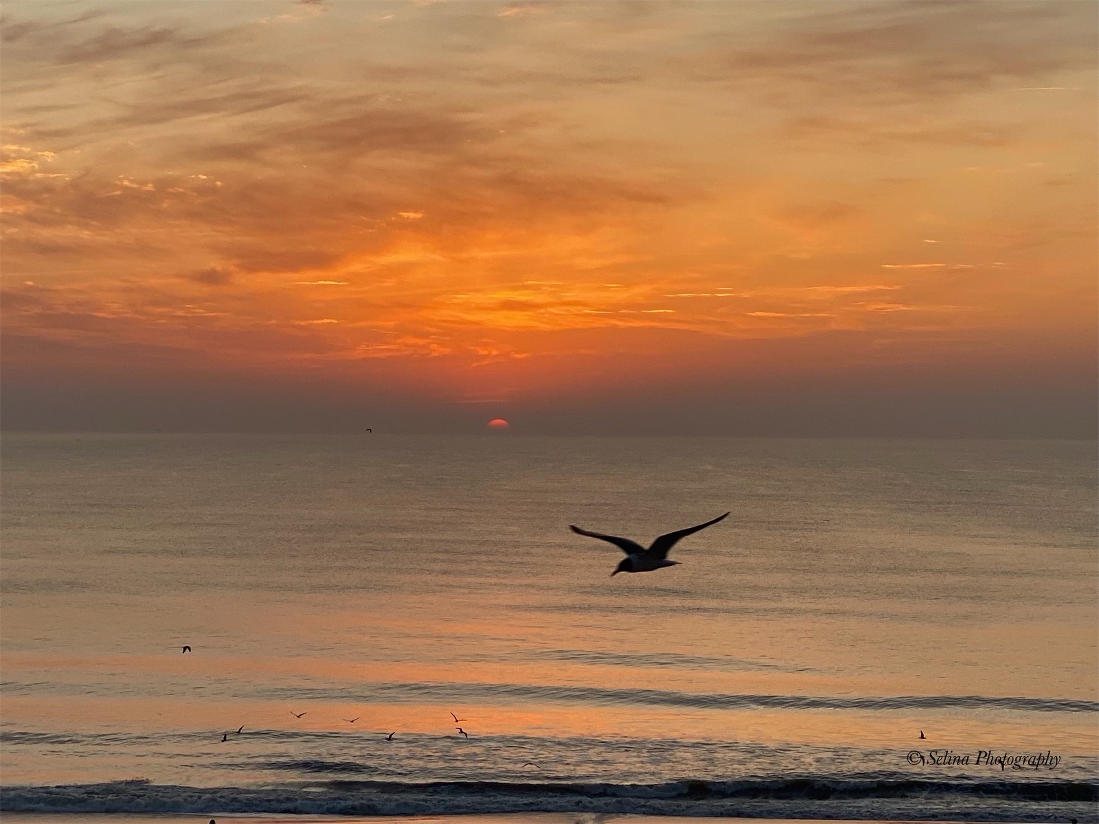 Community photo by Janet Yoder | Jacksonville Beach, Florida