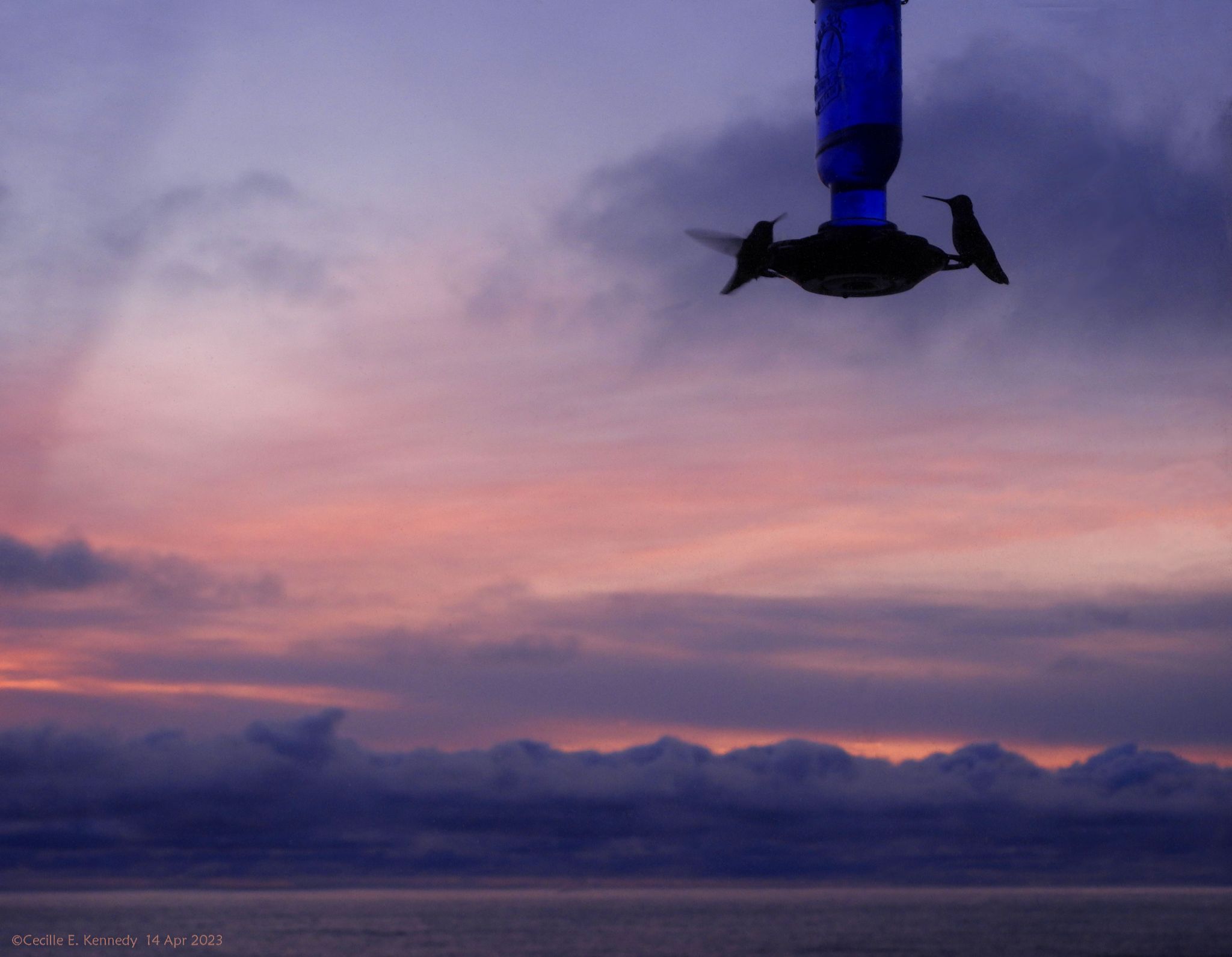 Community photo by Cecille Kennedy | Depoe Bay, Oregon