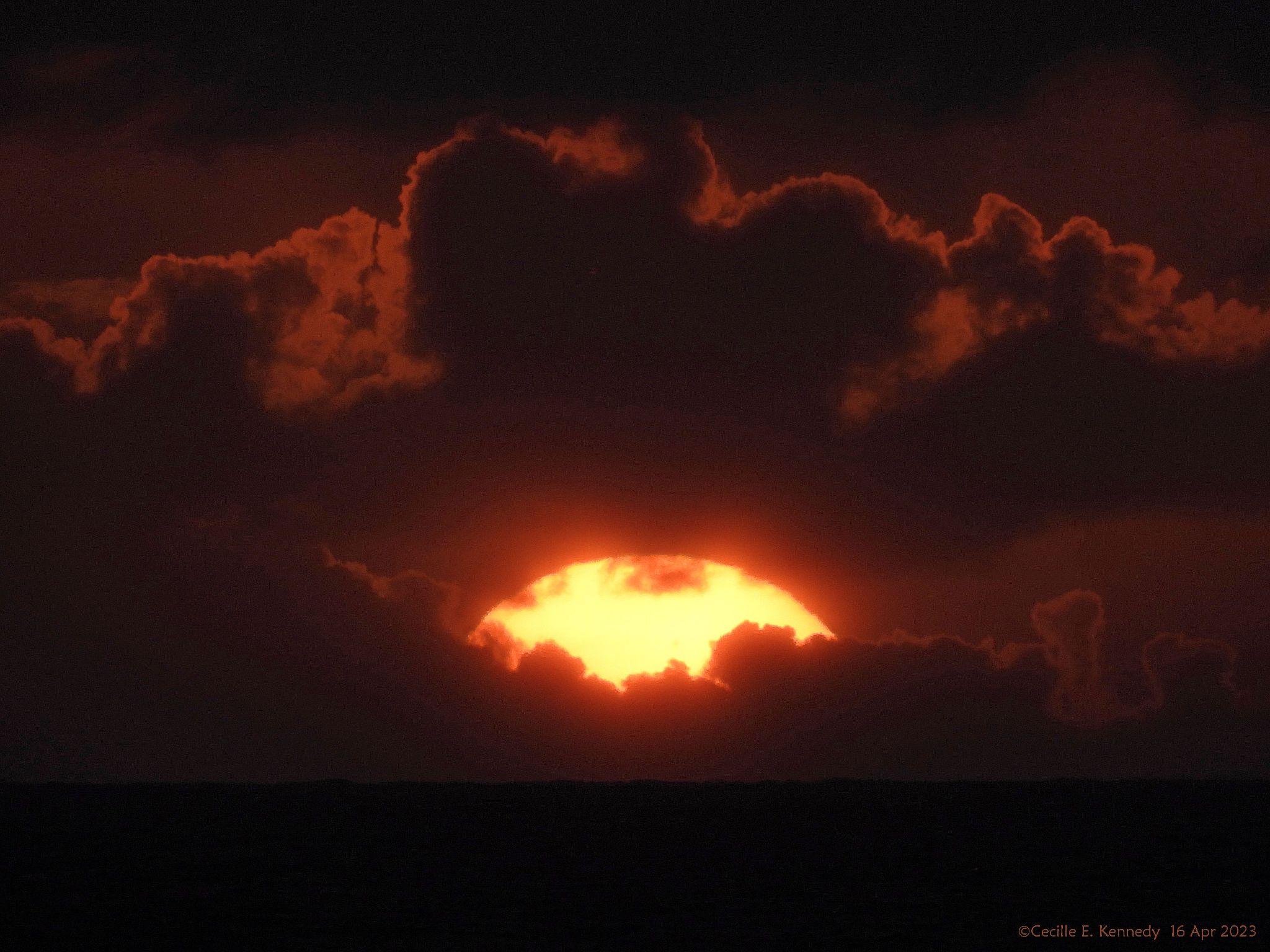 Community photo entitled  by Cecille Kennedy on 04/16/2023 at Central Oregon Coast, Oregon