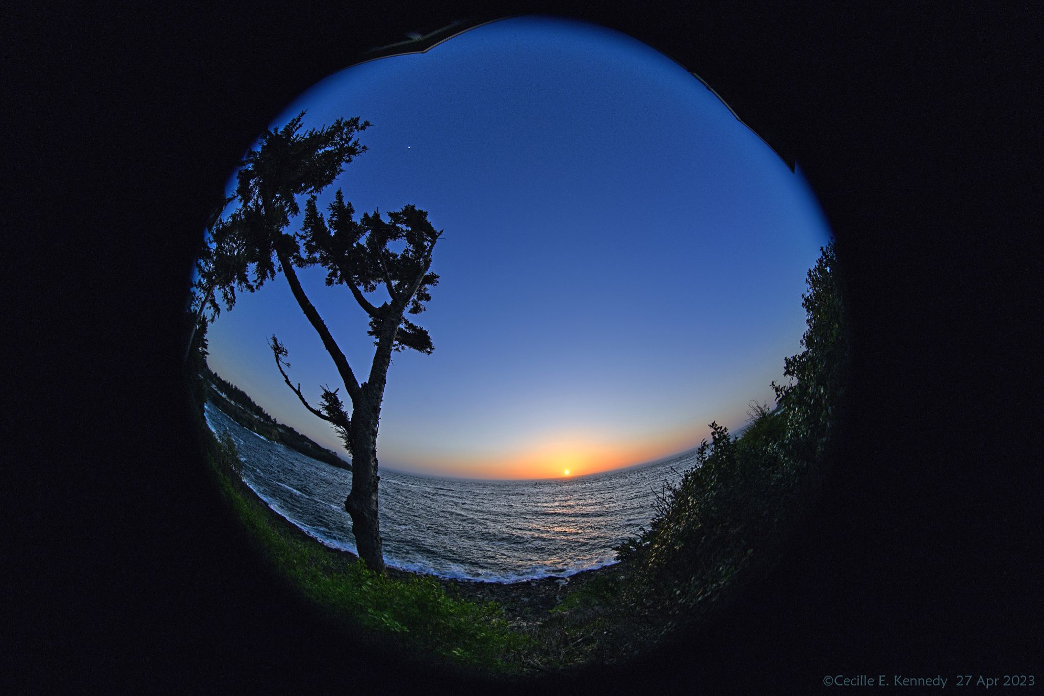 Community photo entitled  by Cecille Kennedy on 04/27/2023 at Depoe Bay, Oregon