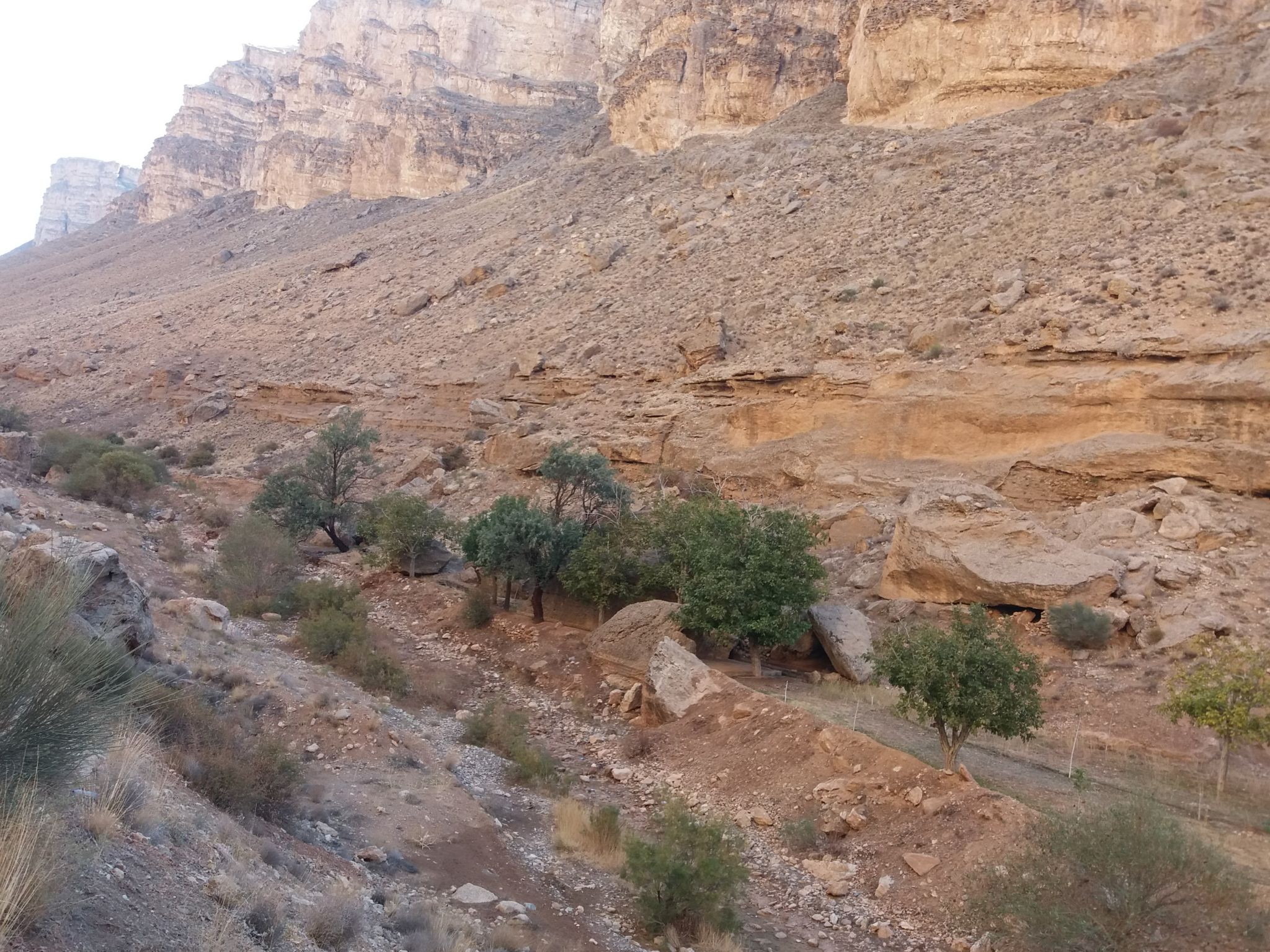 Community photo entitled  by Hassan Dadashi . arani on 05/09/2023 at Arak . Iran