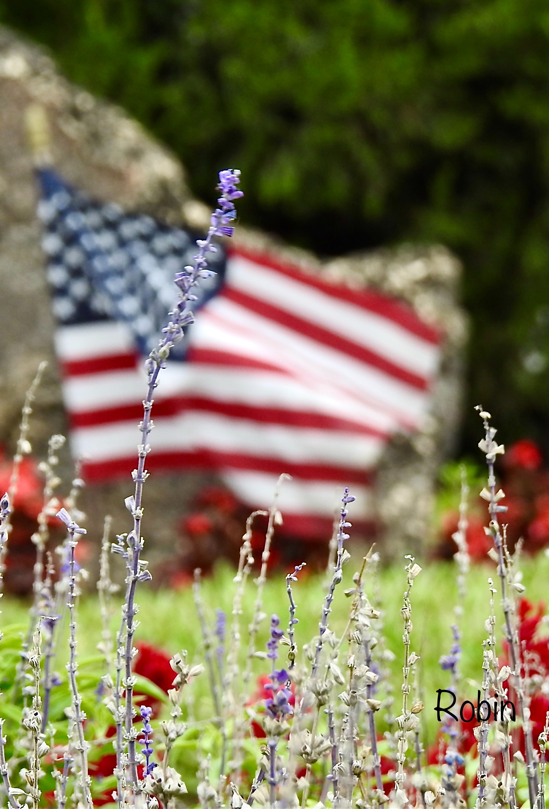 Community photo entitled  by Robin Magleora on 05/27/2023 at Bailey Park Ormond Beach FL