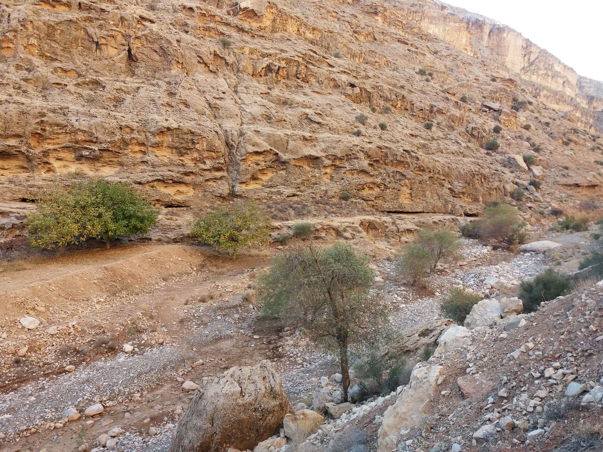 Community photo entitled  by Hassan Dadashi . arani on 05/15/2023 at Arak . Iran