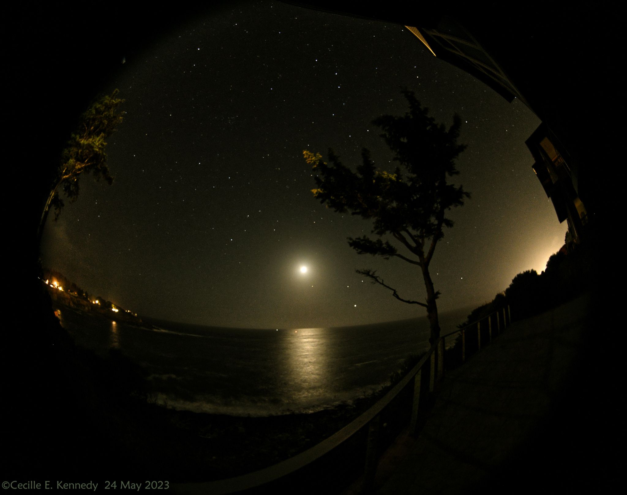 Community photo by Cecille Kennedy | Oregon Coast, Oregon