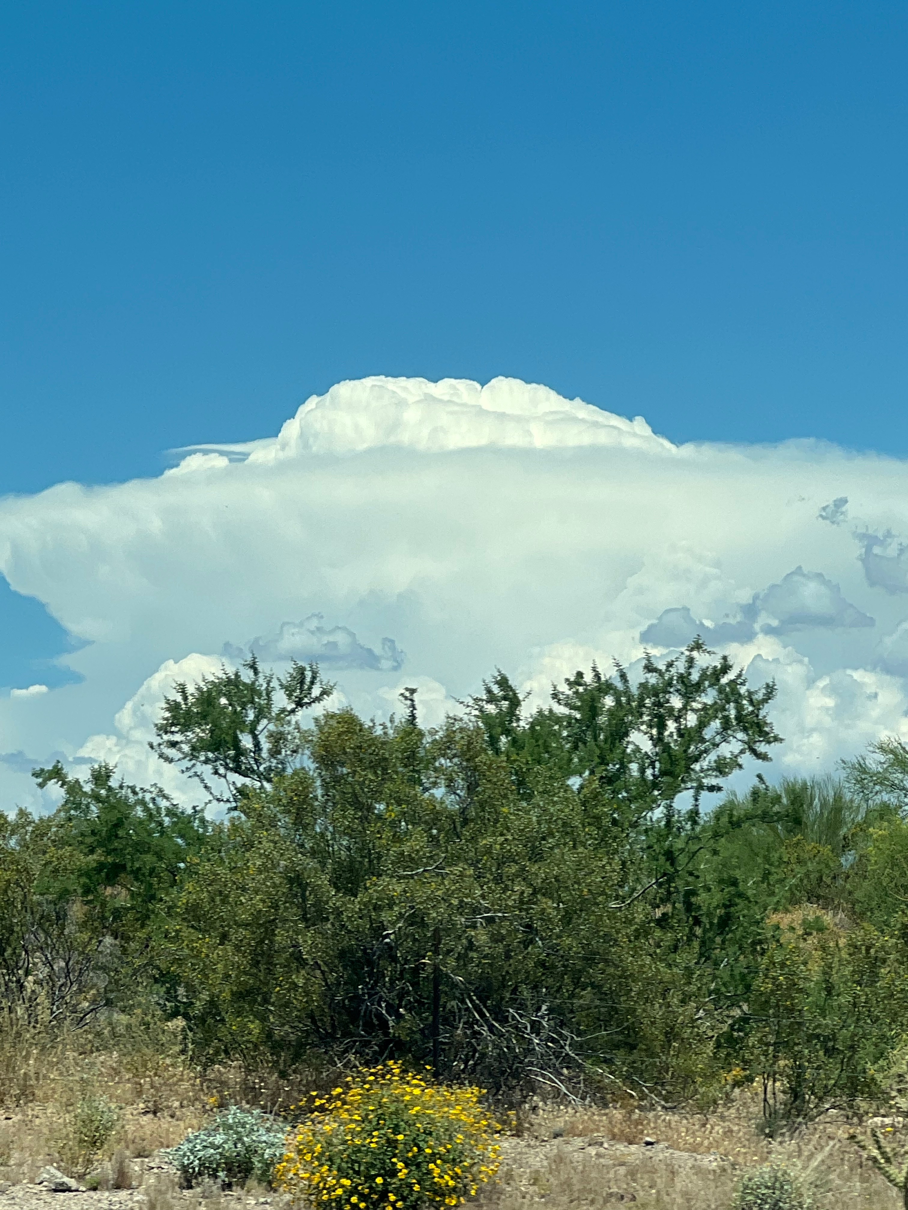 Community photo by Rena B | Cave creek Arizona