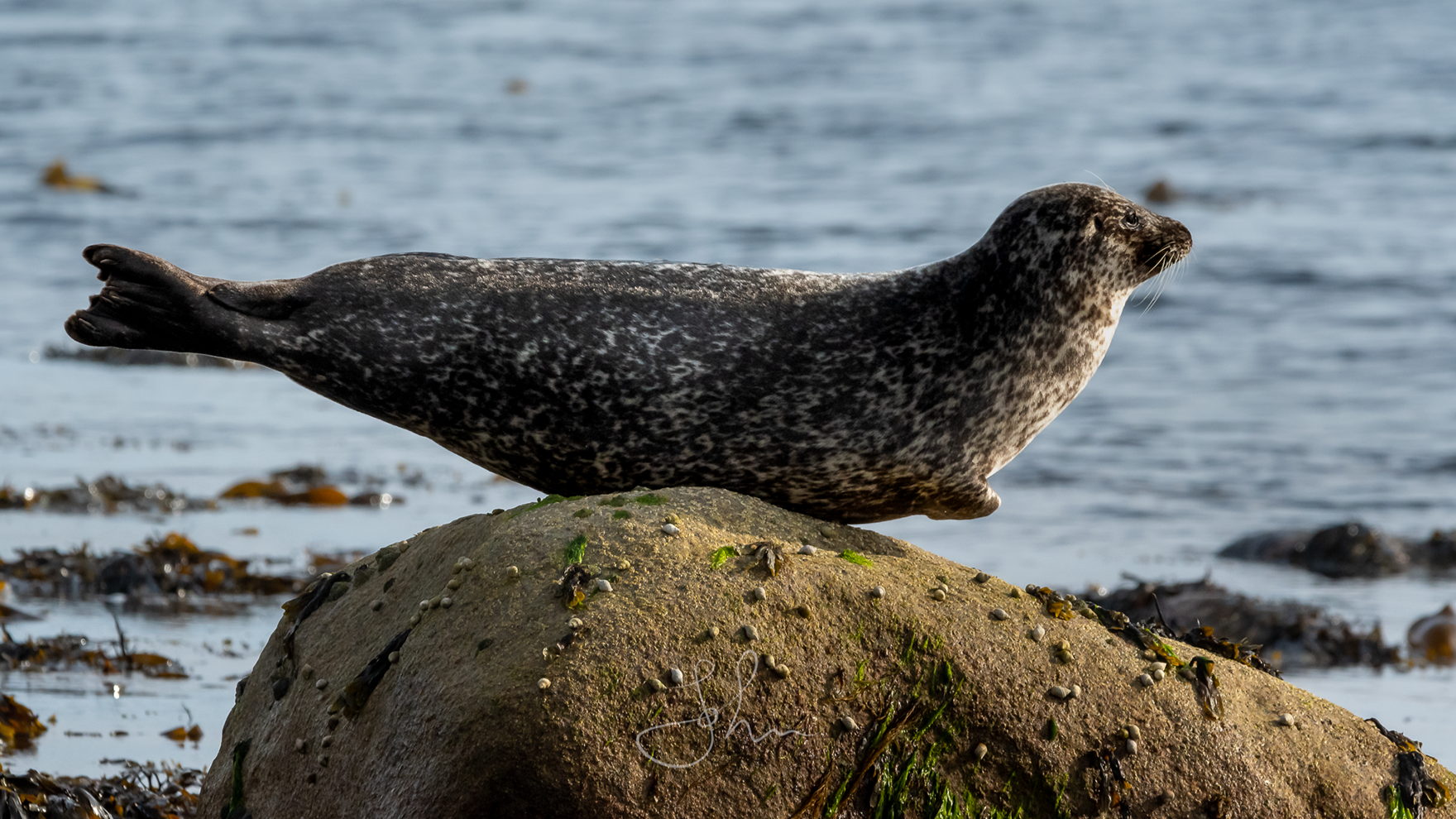 Community photo by John Buchanan | Balliekine, Isle of Arran, Scotland