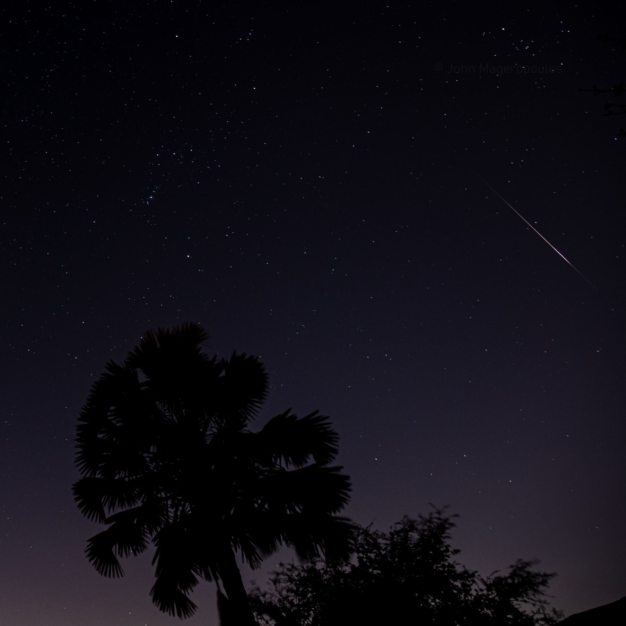 Community photo by John Mageropoulos | Fort Myers, FL