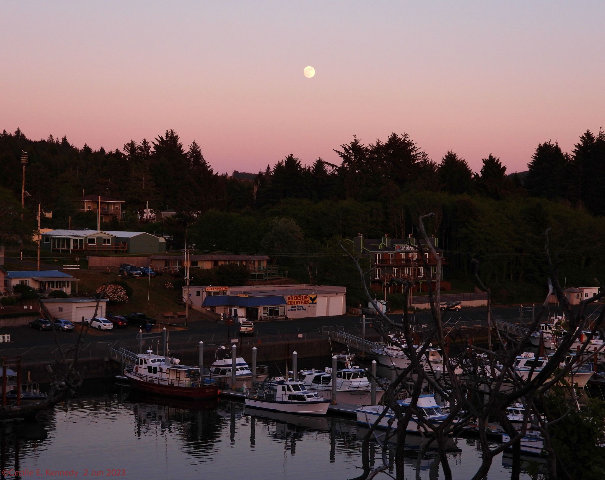 Community photo entitled  by Cecille Kennedy on 06/02/2023 at Depoe Bay Harbor, Oregon