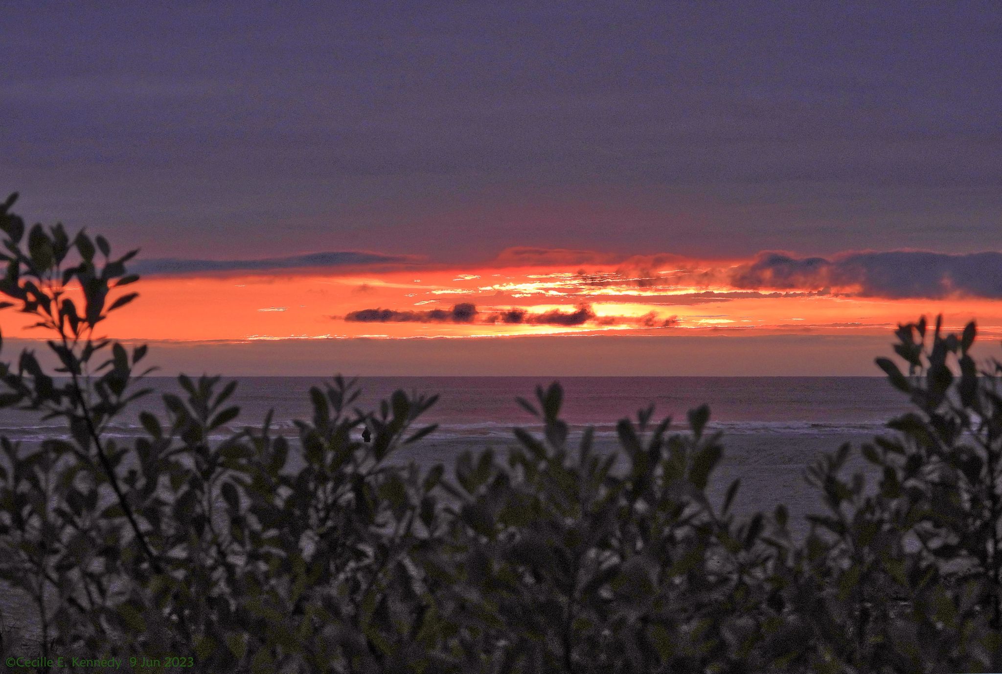 Community photo by Cecille Kennedy | Agate Beach, Oregon