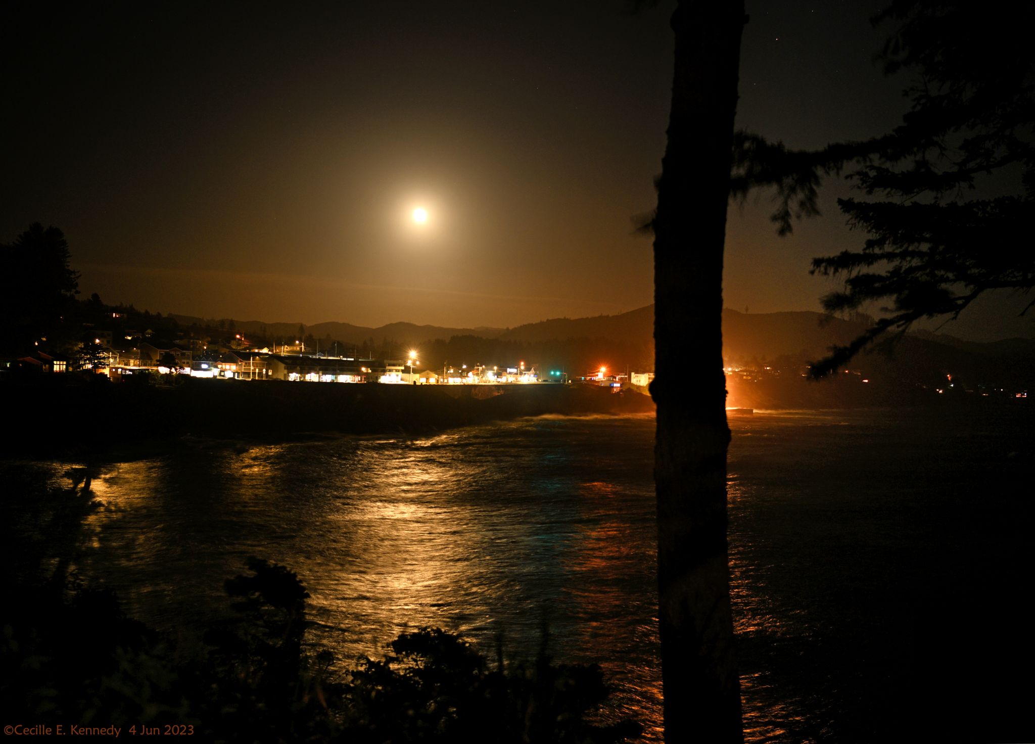 Community photo entitled  by Cecille Kennedy on 06/04/2023 at Depoe Bay, Oregon